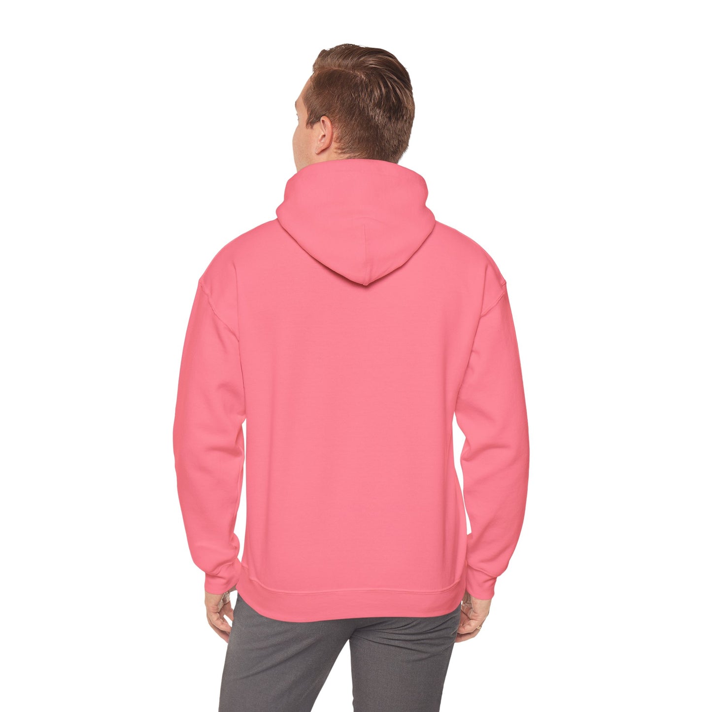 USA Bobsled Hoodie Unisex Sweatshirt by TooLoud
