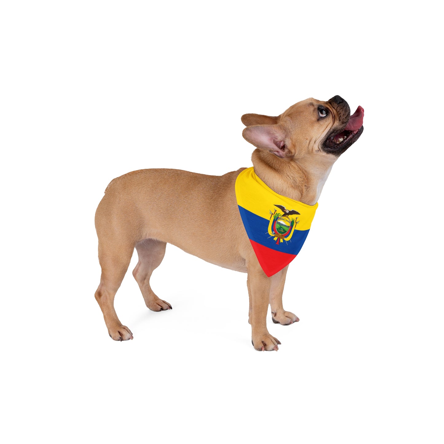 Ecuador Flag AOP Dog/Pet Bandana – All Over Print, 2 Sizes