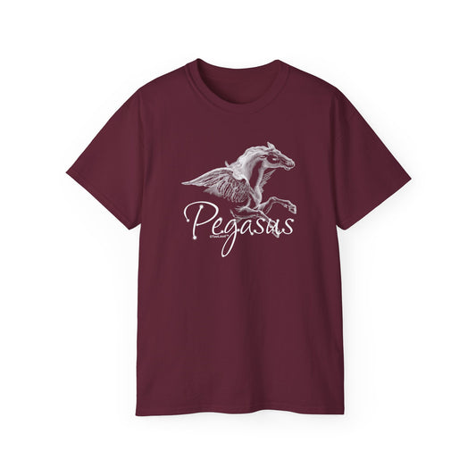 Pegasus Illustration Women’s Dark T-Shirt – by TOOLOUD