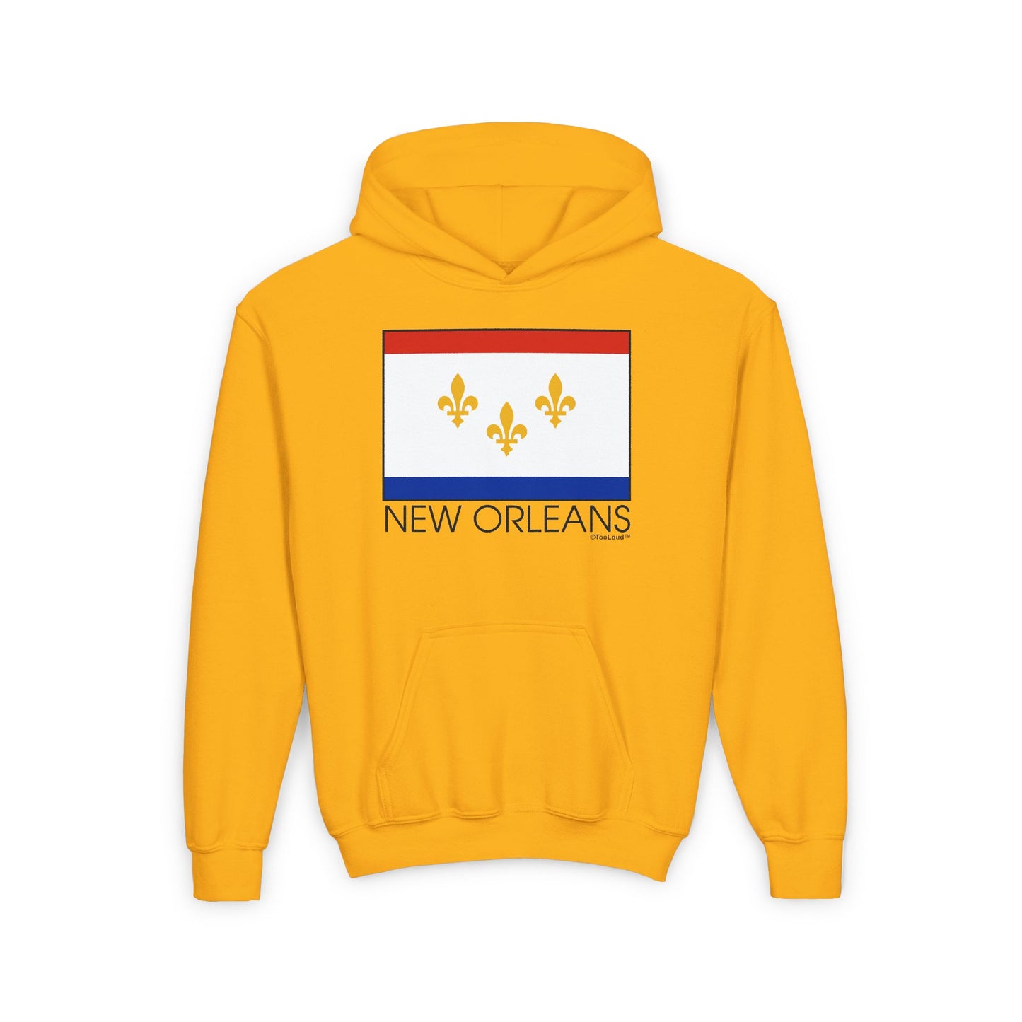 TooLoud New Orleans Louisiana Flag Text Youth Children's Hoodie