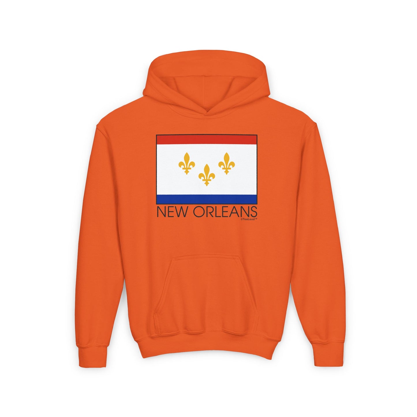 TooLoud New Orleans Louisiana Flag Text Youth Children's Hoodie