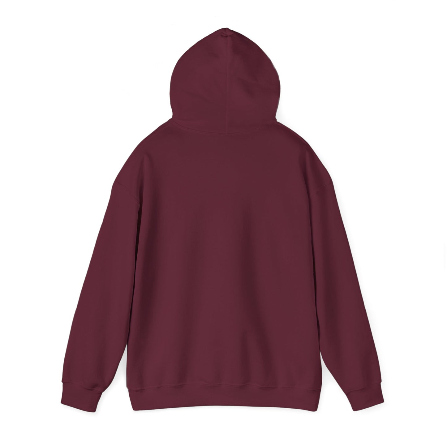 TooLoud Aquarius Symbol Hoodie Sweatshirt for Men or Women