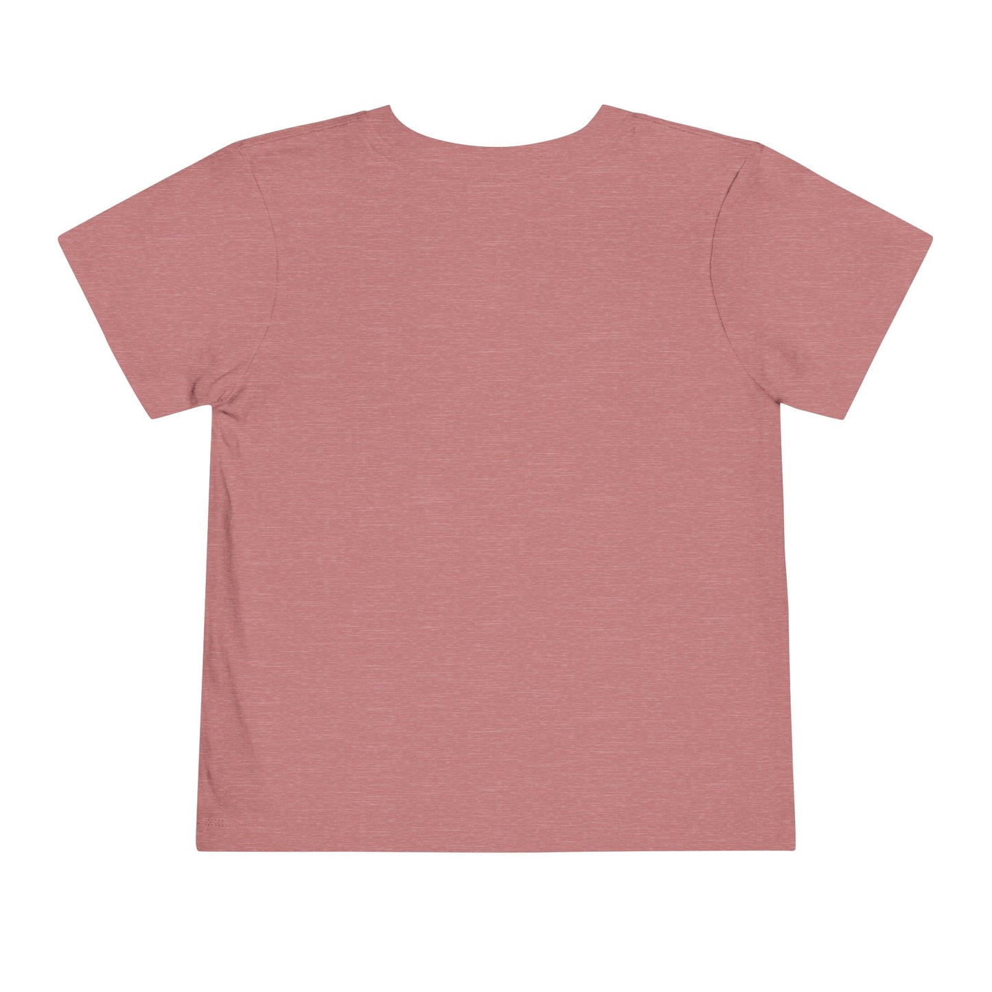 TOOLOUD Costa Rica Flag Toddler T-Shirt