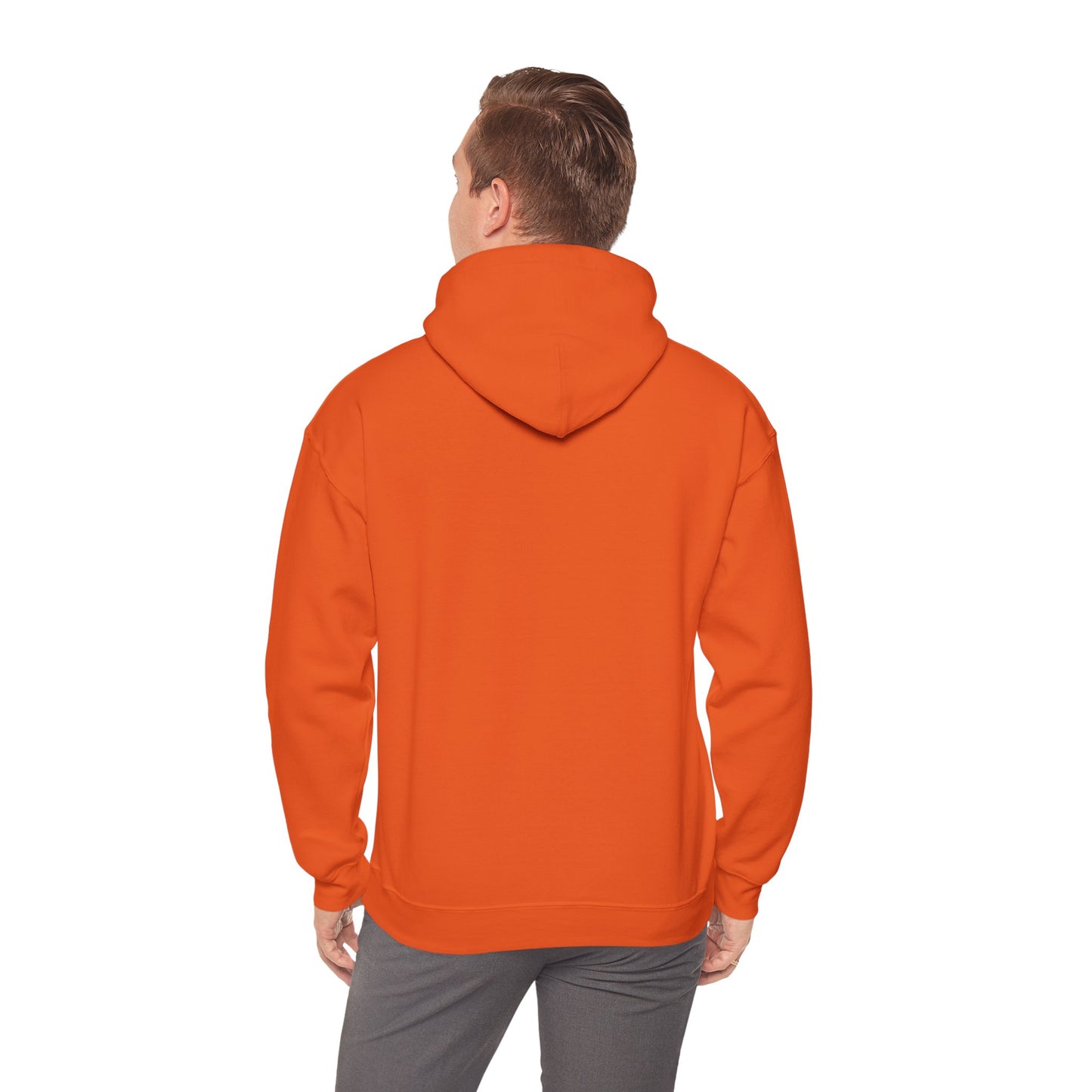 USA Bobsled Hoodie Unisex Sweatshirt by TooLoud