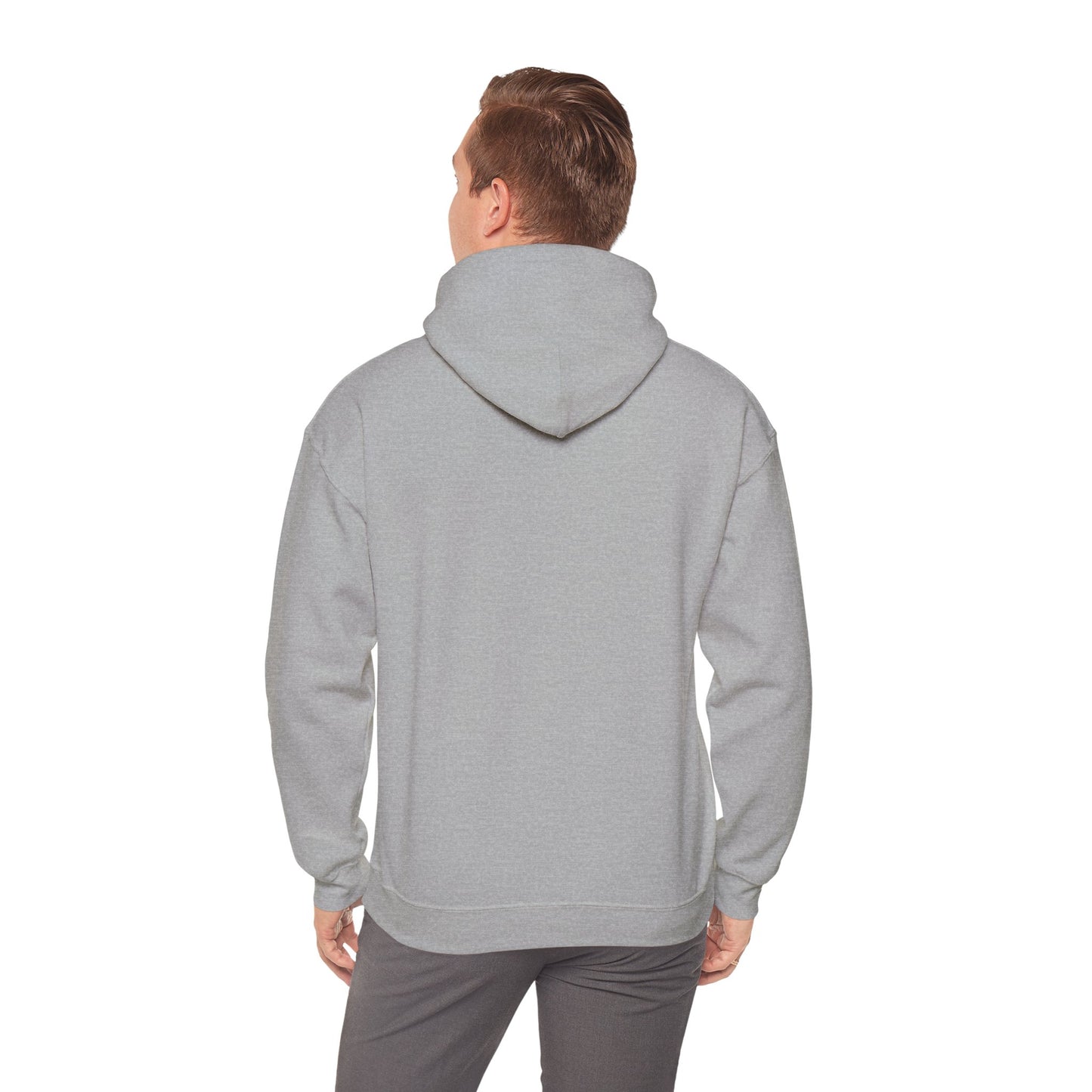 USA Bobsled Hoodie Unisex Sweatshirt by TooLoud