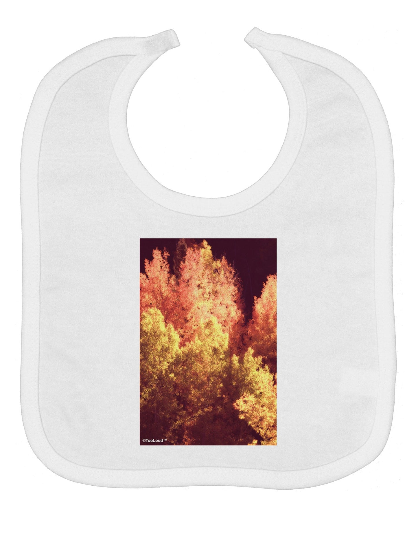 Autumn In Aspen Baby Bib