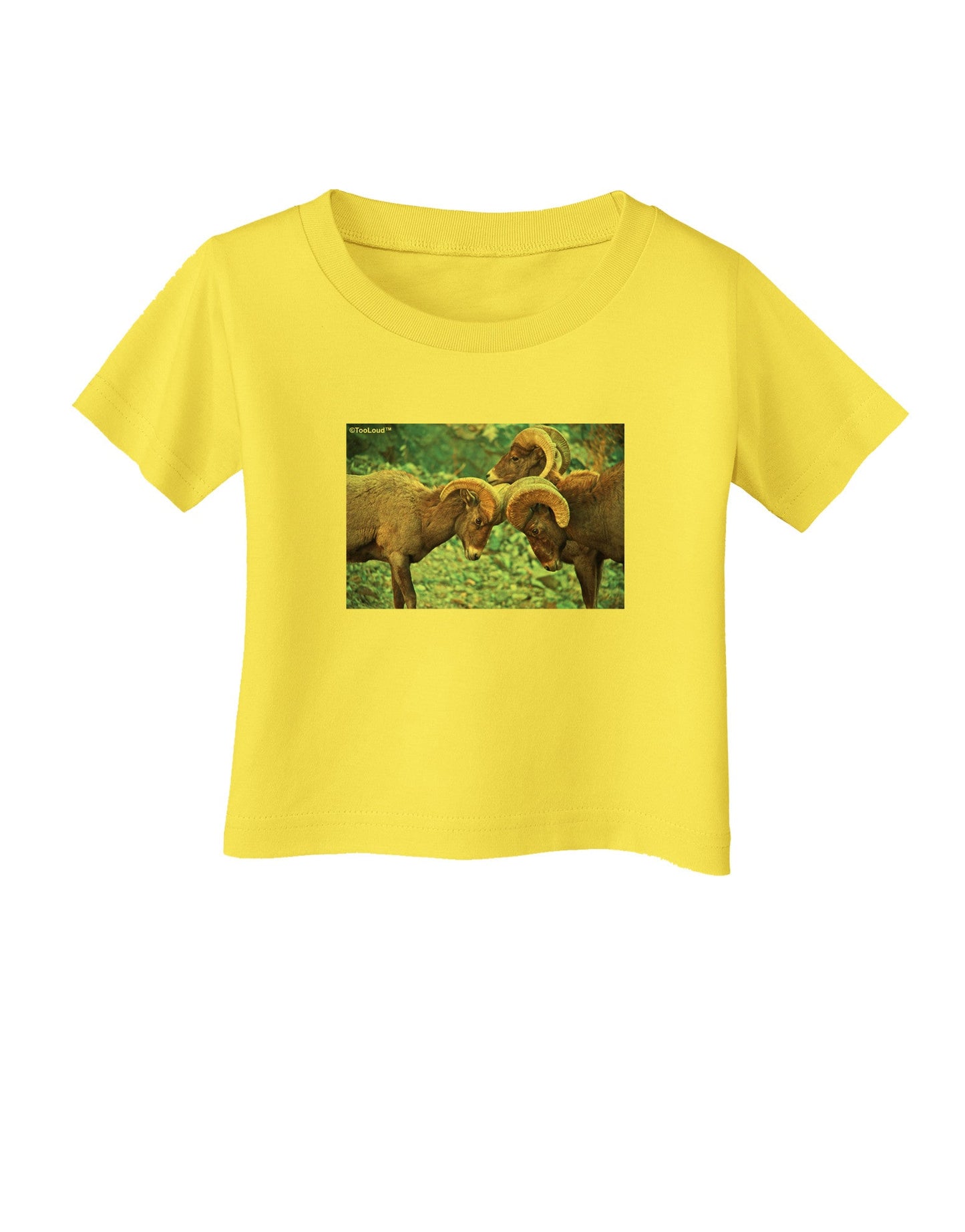 CO Bighorn Head Butt Infant T-Shirt-Infant T-Shirt-TooLoud-Yellow-06-Months-Davson Sales