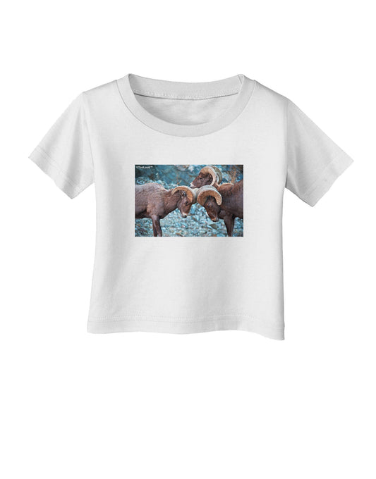 CO Bighorn Head Butt Infant T-Shirt-Infant T-Shirt-TooLoud-White-06-Months-Davson Sales