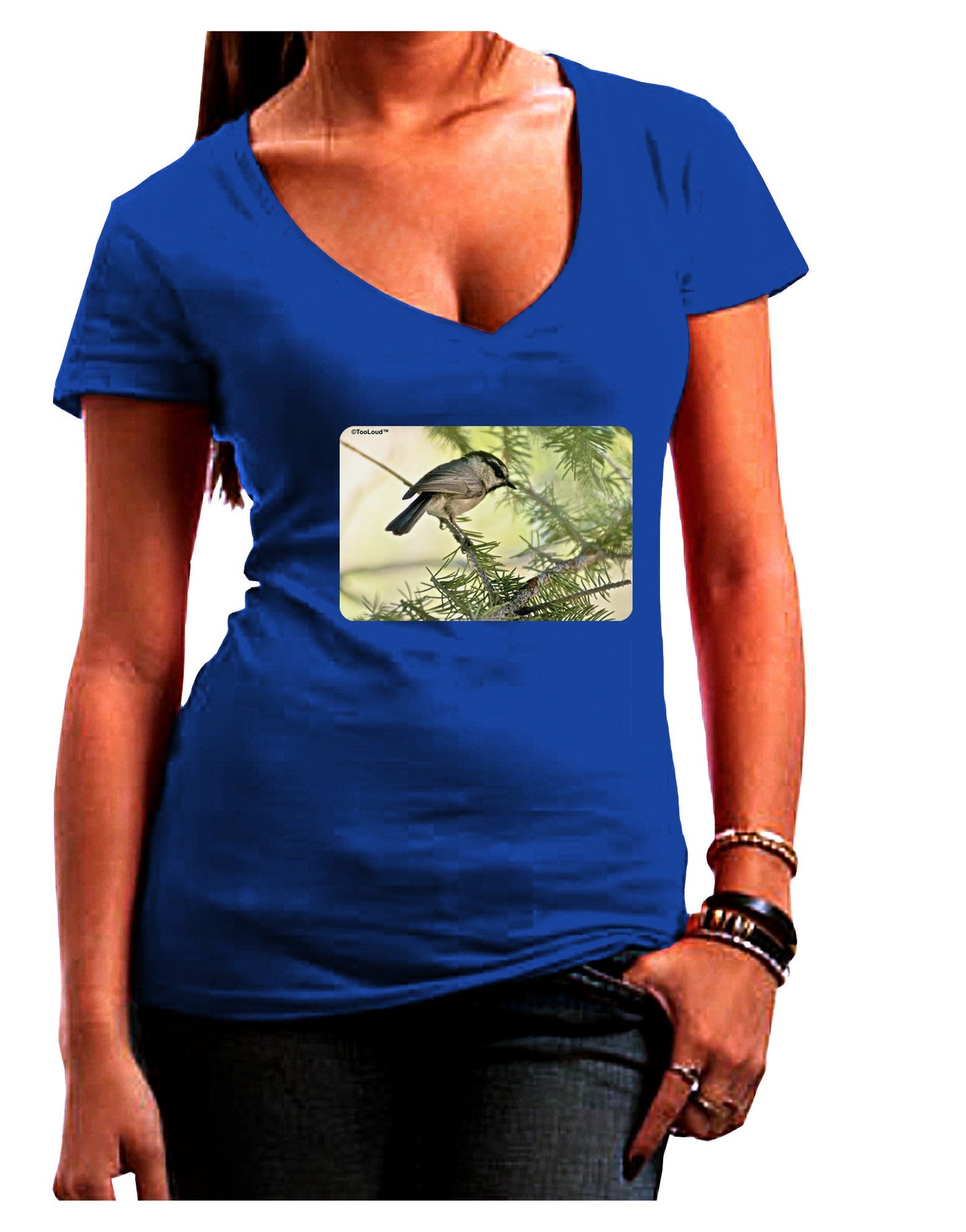 CO Chickadee Womens V-Neck Dark T-Shirt-Womens V-Neck T-Shirts-TooLoud-Royal-Blue-Juniors Fitted Small-Davson Sales