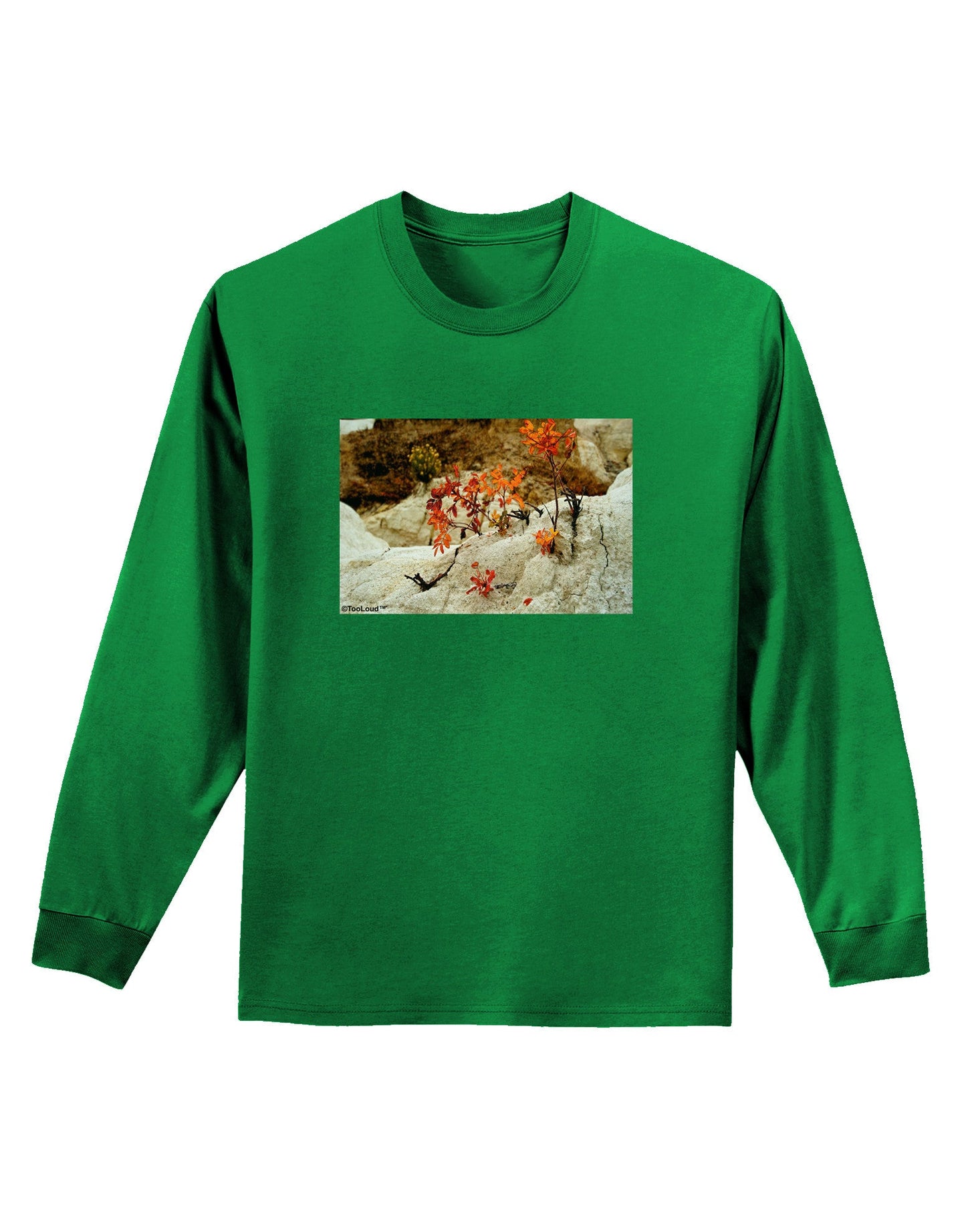 CO Painted Mines Adult Long Sleeve Dark T-Shirt-TooLoud-Kelly-Green-Small-Davson Sales