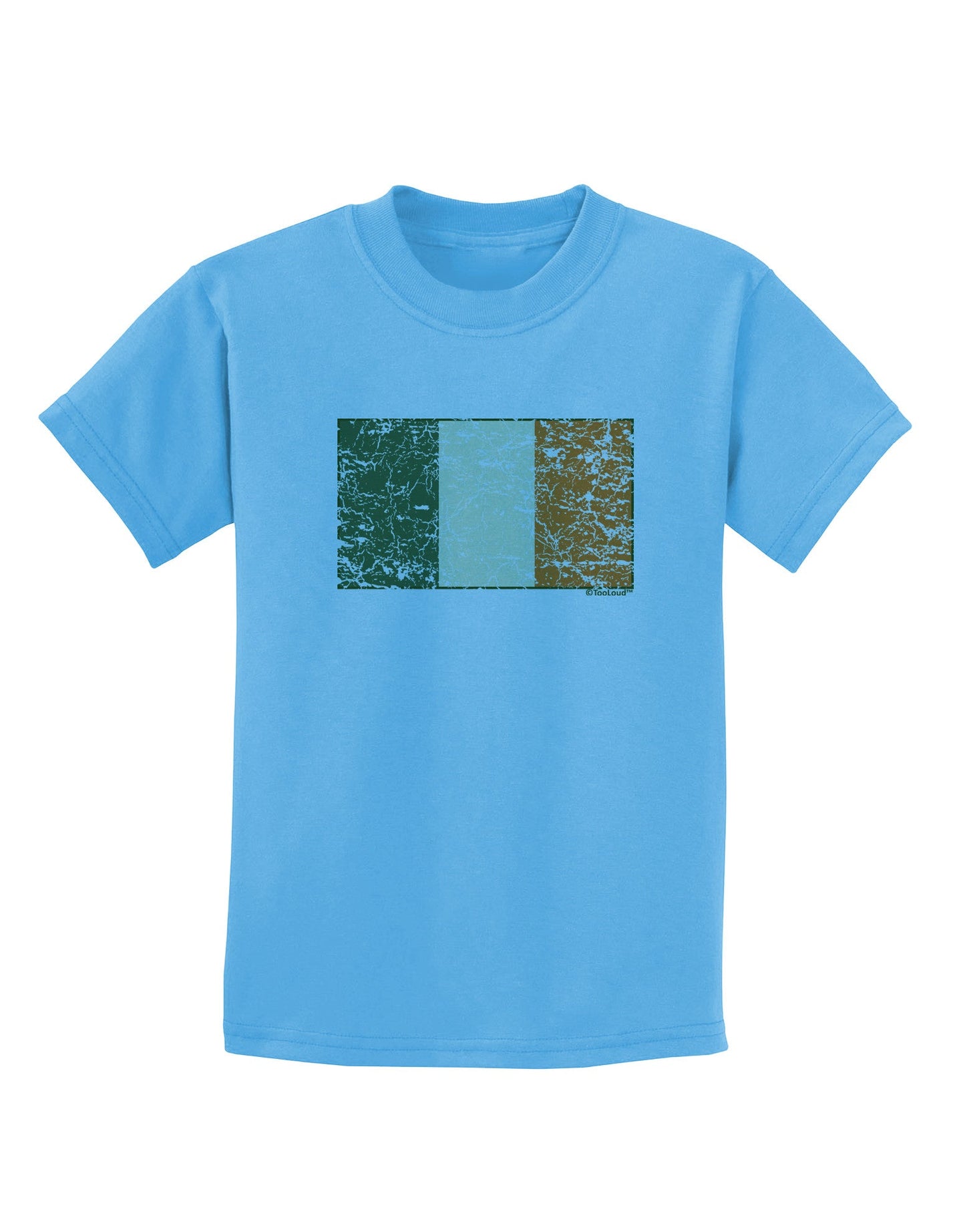 Distressed Irish Flag - Flag of Ireland Childrens T-Shirt-Childrens T-Shirt-TooLoud-Aquatic-Blue-X-Small-Davson Sales