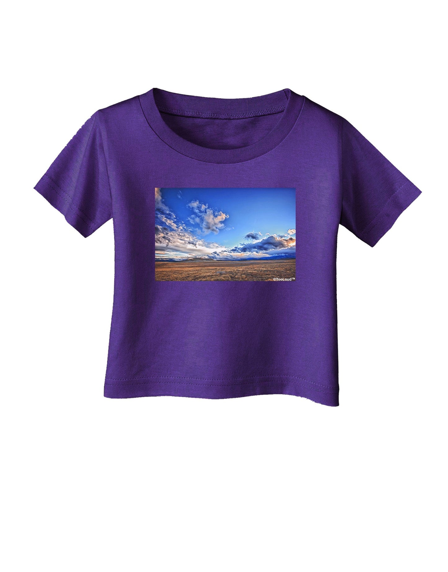 Garden of the Gods Colorado Infant T-Shirt Dark-Infant T-Shirt-TooLoud-Purple-06-Months-Davson Sales