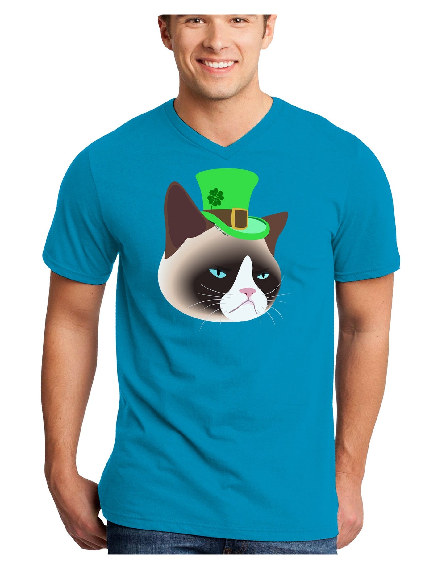 Leprechaun Disgruntled Cat Adult Dark V-Neck T-Shirt-TooLoud-Turquoise-Small-Davson Sales