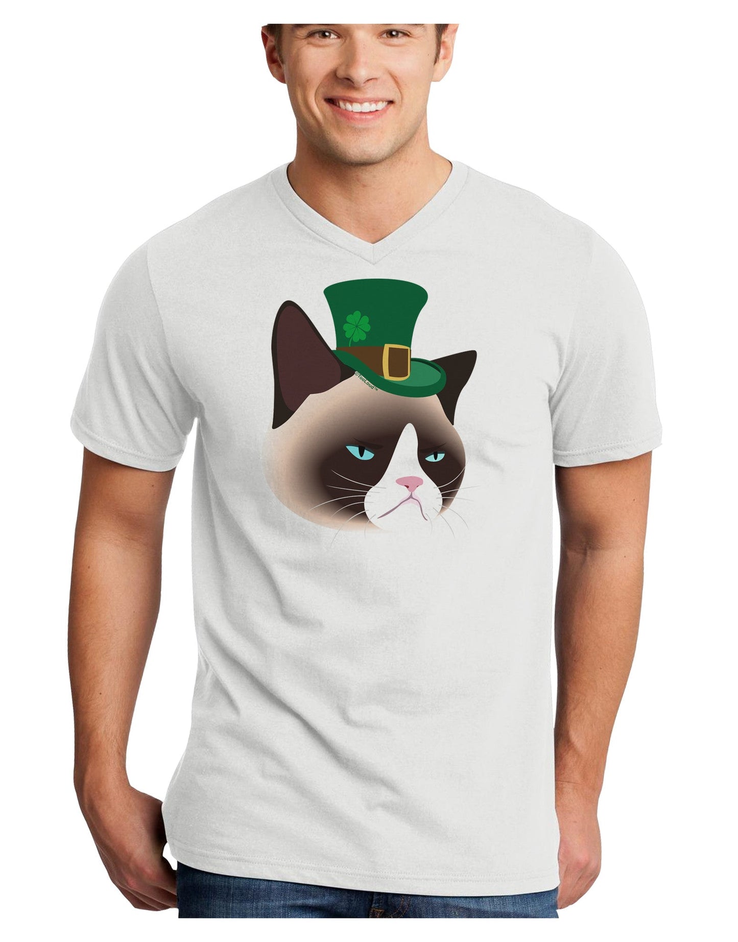 Leprechaun Disgruntled Cat Adult V-Neck T-shirt-Mens V-Neck T-Shirt-TooLoud-White-Small-Davson Sales