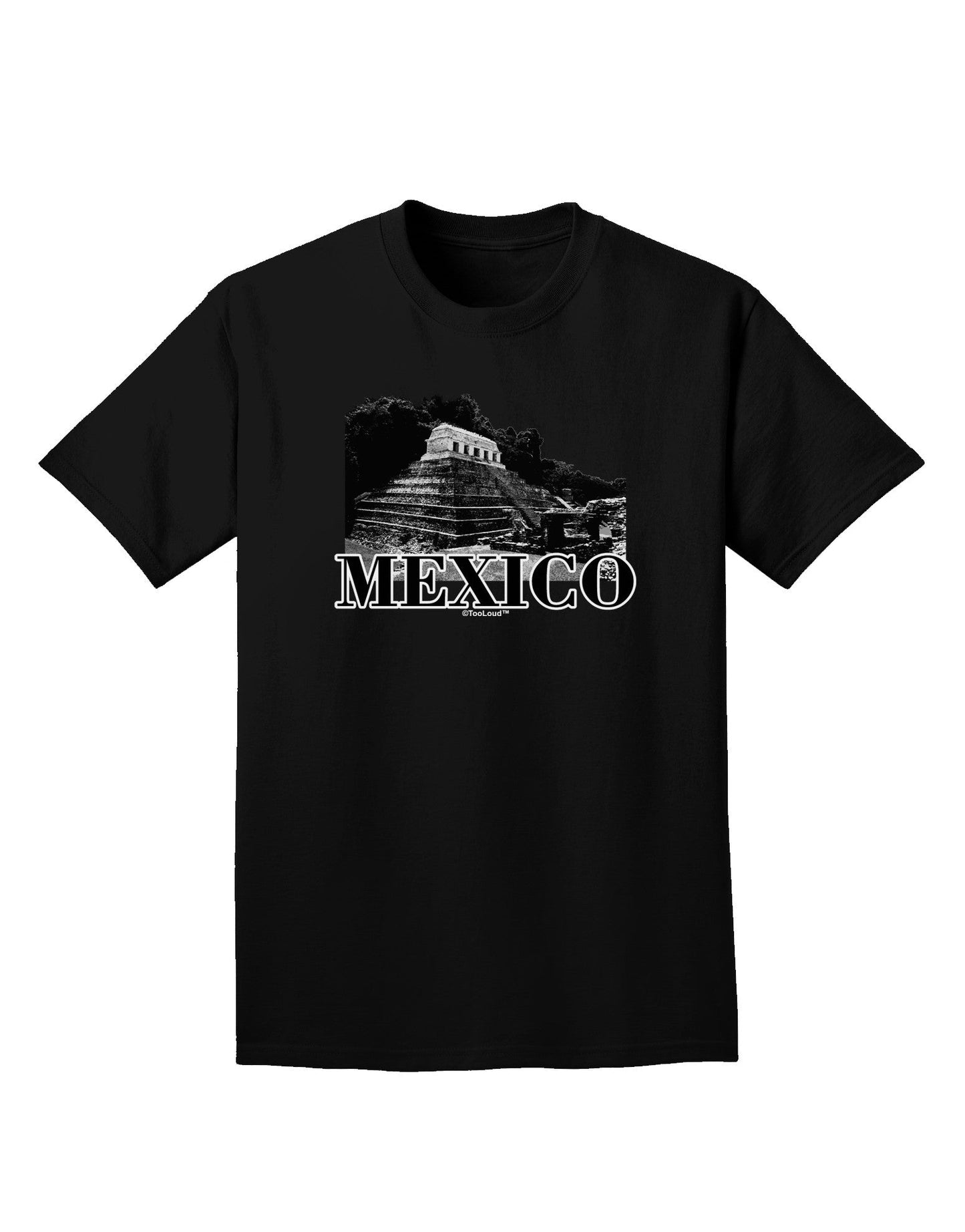 Mexico - Temple No 2 Adult Dark T-Shirt-Mens T-Shirt-TooLoud-Black-Small-Davson Sales