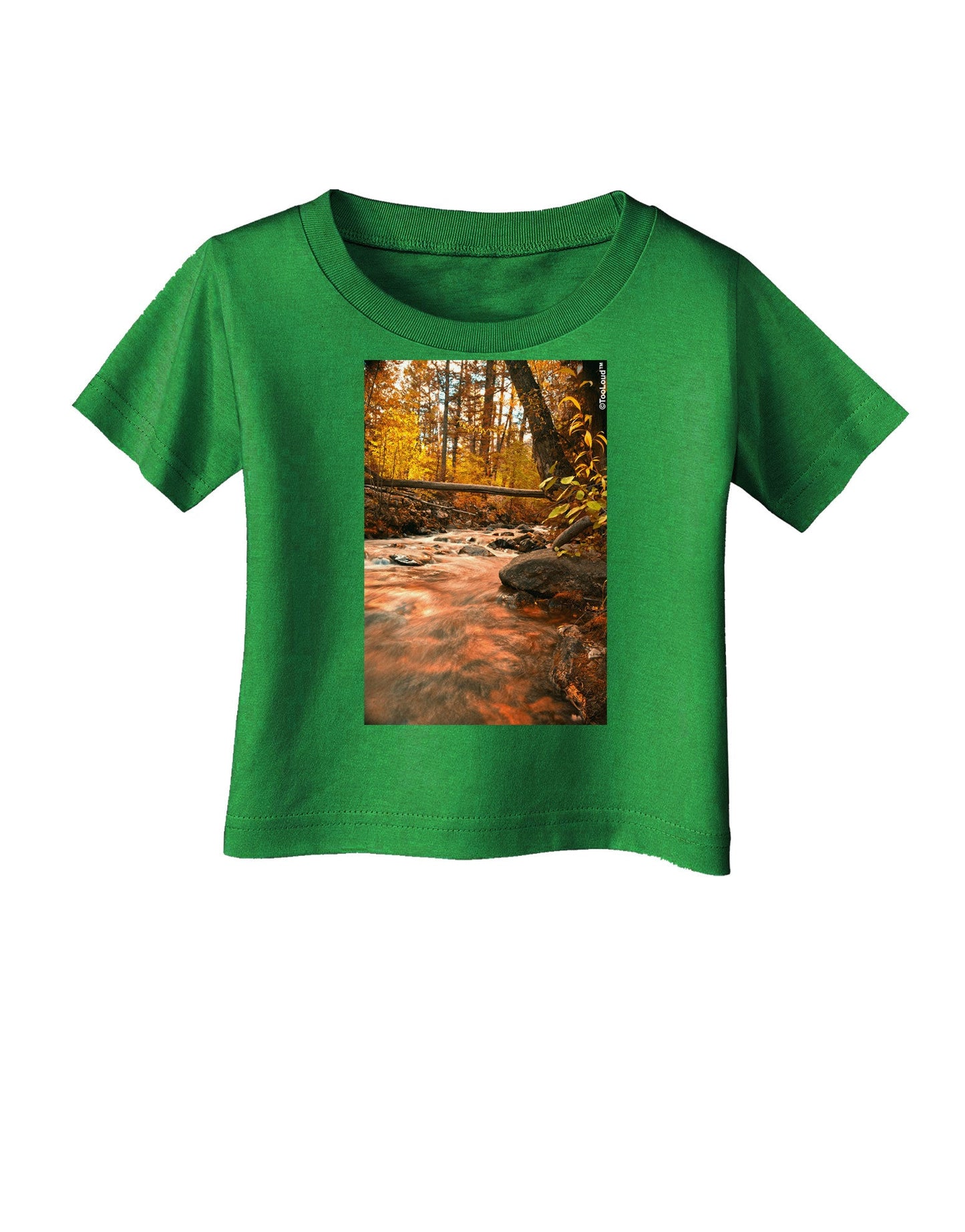 Mt Shavano Colorado Infant T-Shirt Dark-Infant T-Shirt-TooLoud-Clover-Green-06-Months-Davson Sales