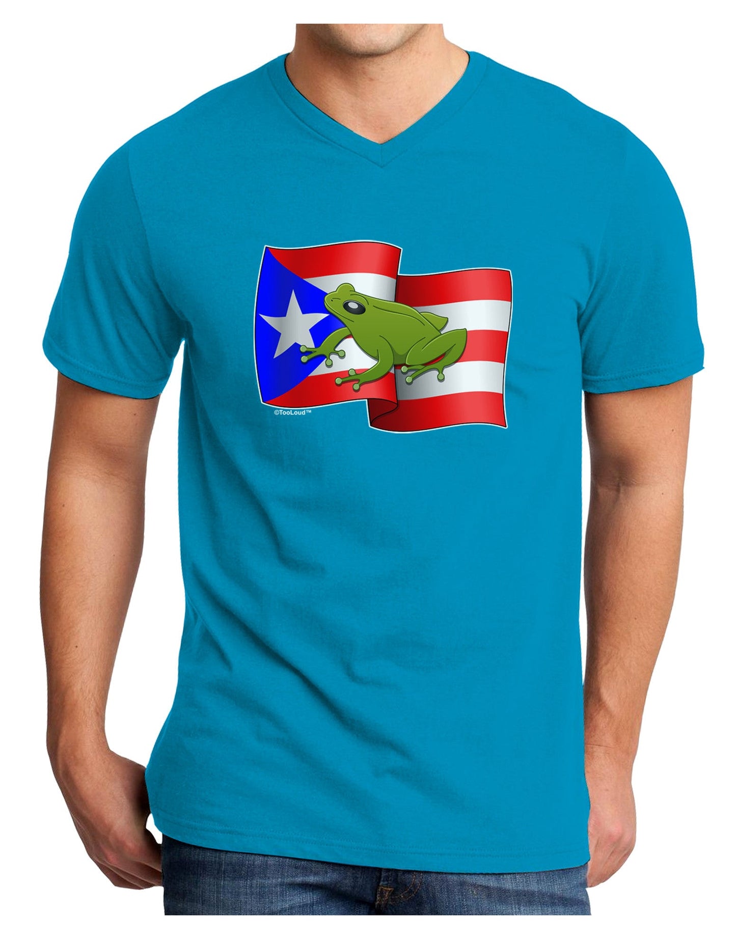 Puerto Rico Coqui Adult Dark V-Neck T-Shirt-Mens V-Neck T-Shirt-TooLoud-Turquoise-Small-Davson Sales