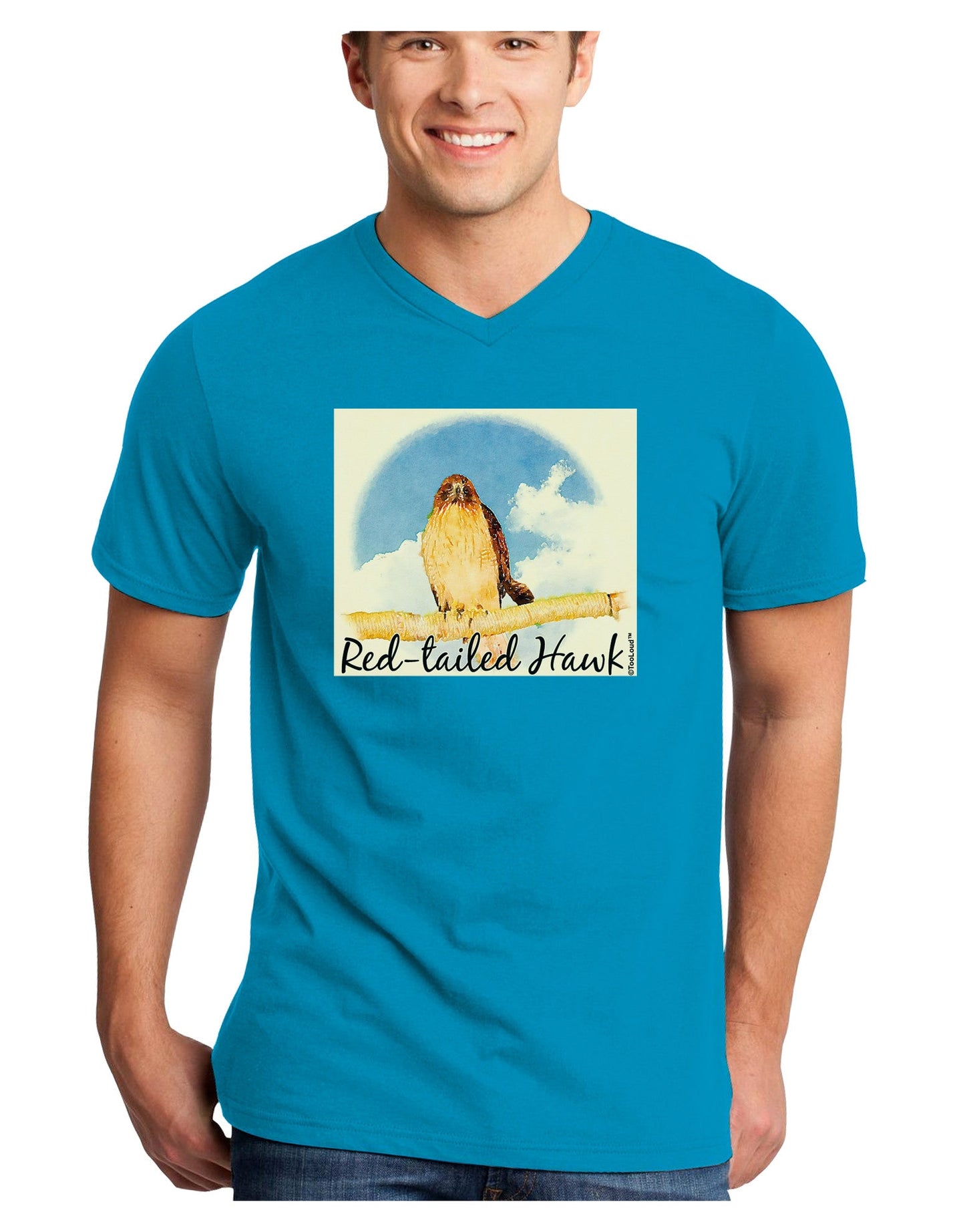 Red-tailed Hawk Text Adult Dark V-Neck T-Shirt-TooLoud-Turquoise-Small-Davson Sales
