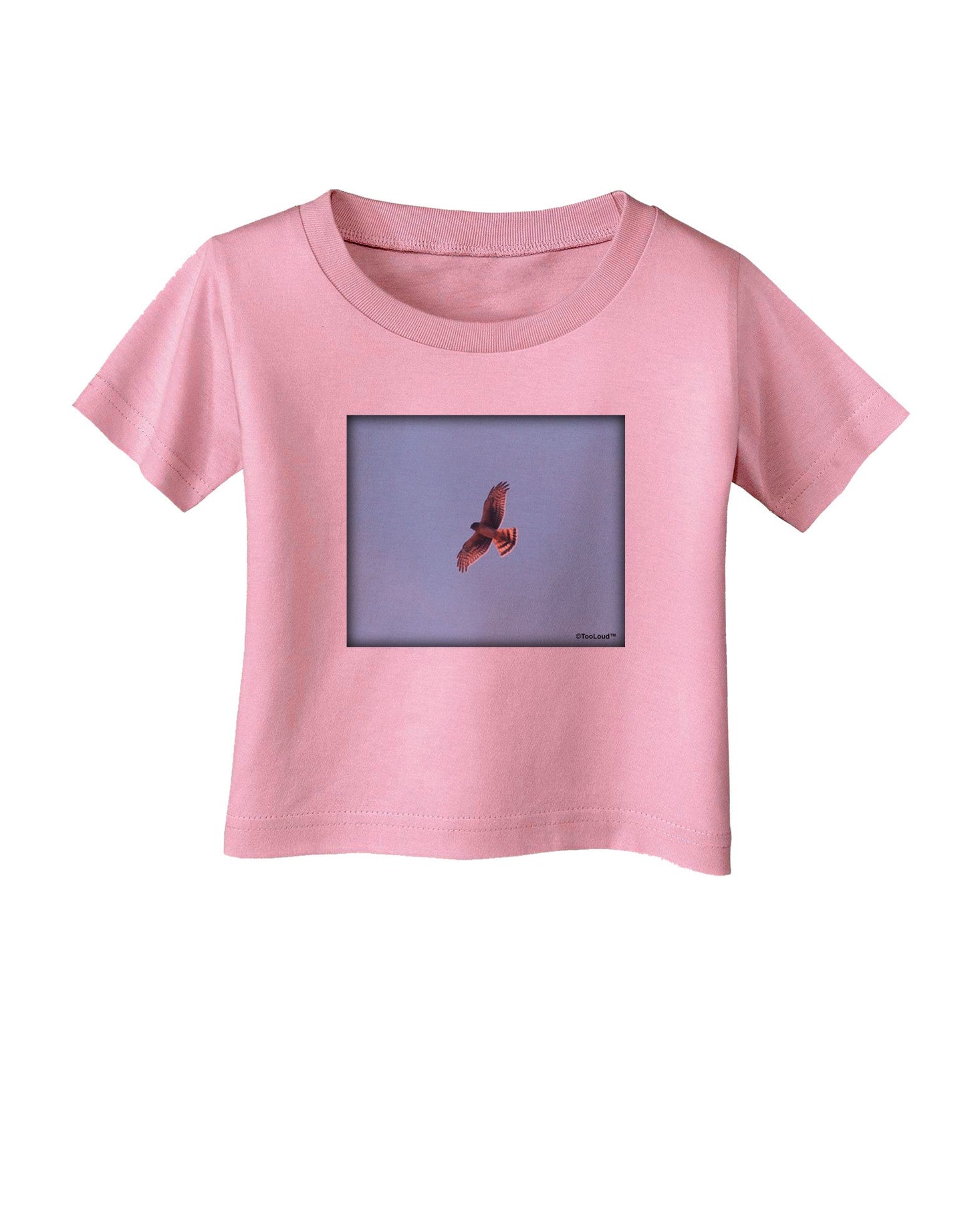 Soaring Peregrine Infant T-Shirt-Infant T-Shirt-TooLoud-Candy-Pink-06-Months-Davson Sales