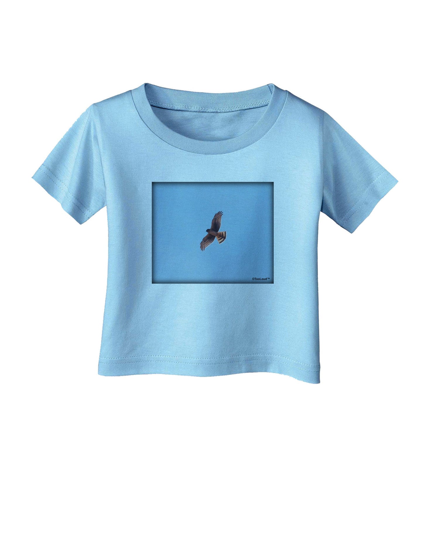 Soaring Peregrine Infant T-Shirt-Infant T-Shirt-TooLoud-Aquatic-Blue-06-Months-Davson Sales