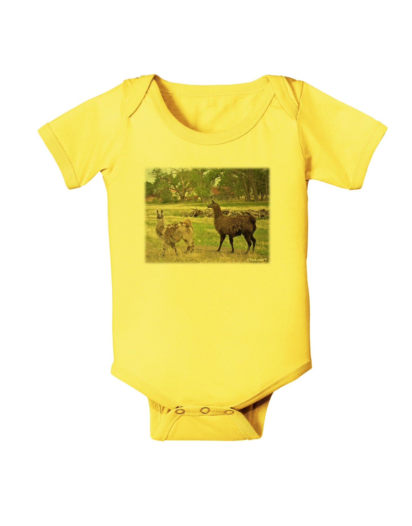 Standing Llamas Baby Romper Bodysuit by TooLoud-Baby Romper-TooLoud-Yellow-06-Months-Davson Sales