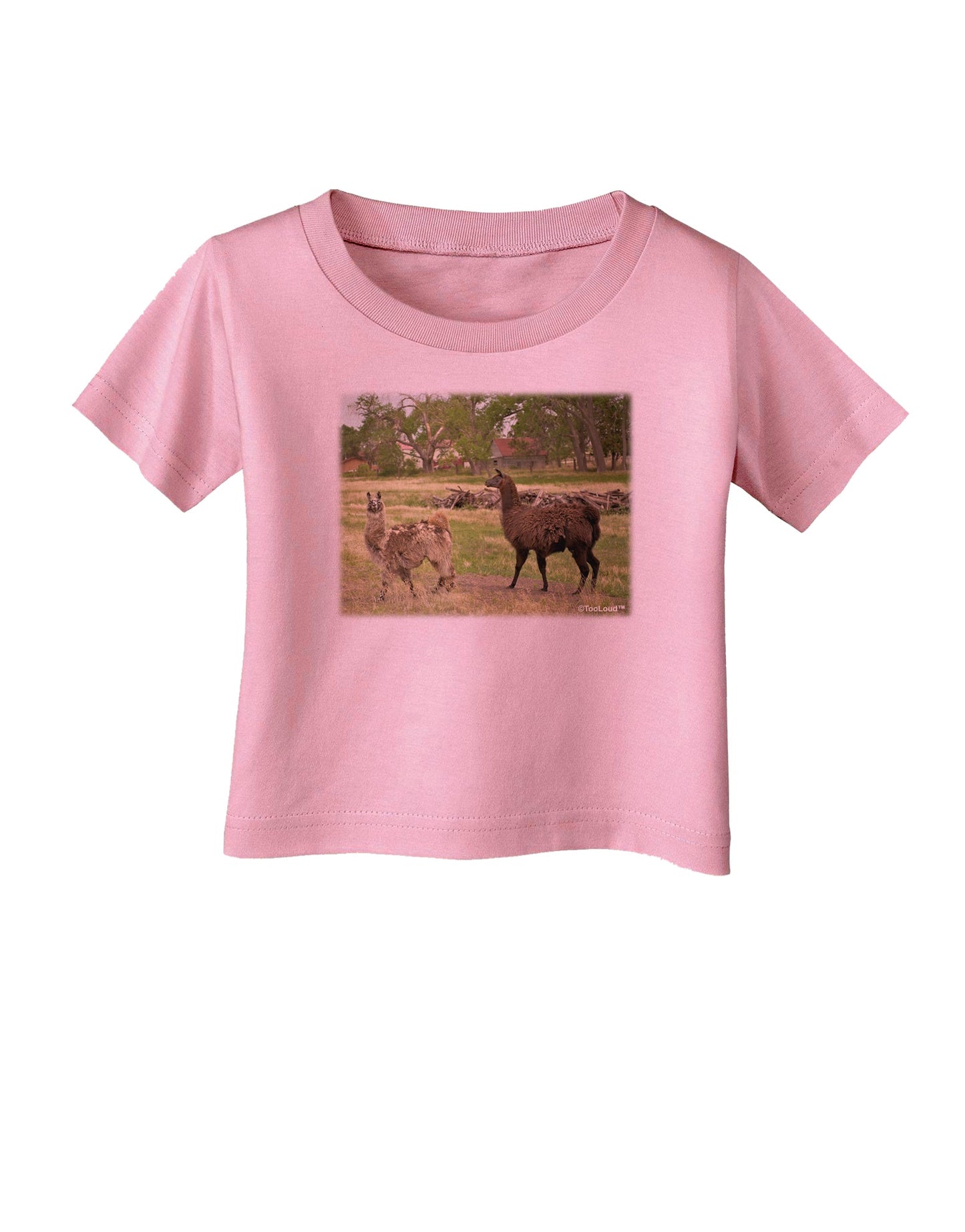 Standing Llamas Infant T-Shirt by TooLoud-Infant T-Shirt-TooLoud-Candy-Pink-06-Months-Davson Sales