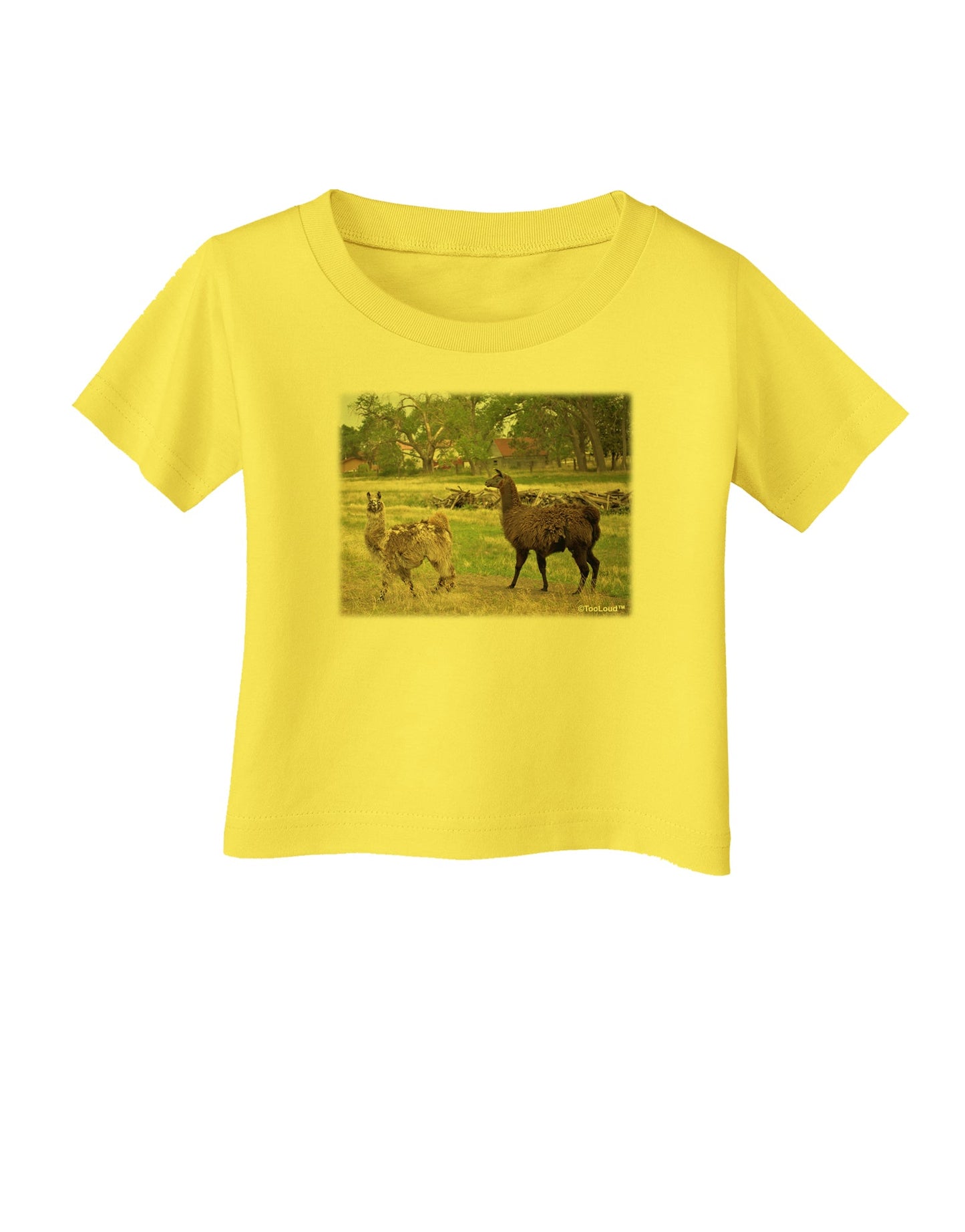 Standing Llamas Infant T-Shirt by TooLoud-Infant T-Shirt-TooLoud-Yellow-06-Months-Davson Sales