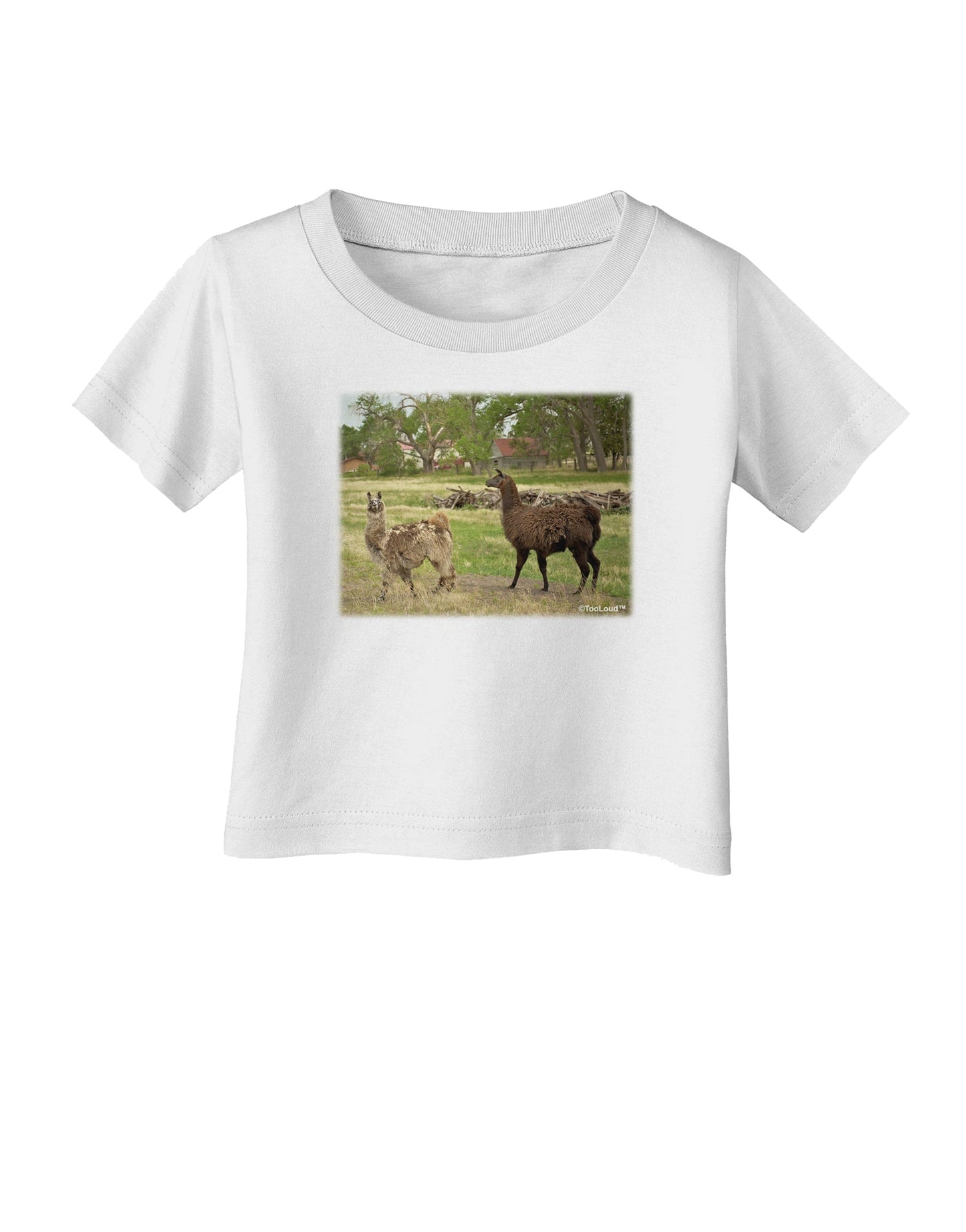 Standing Llamas Infant T-Shirt by TooLoud-Infant T-Shirt-TooLoud-White-06-Months-Davson Sales