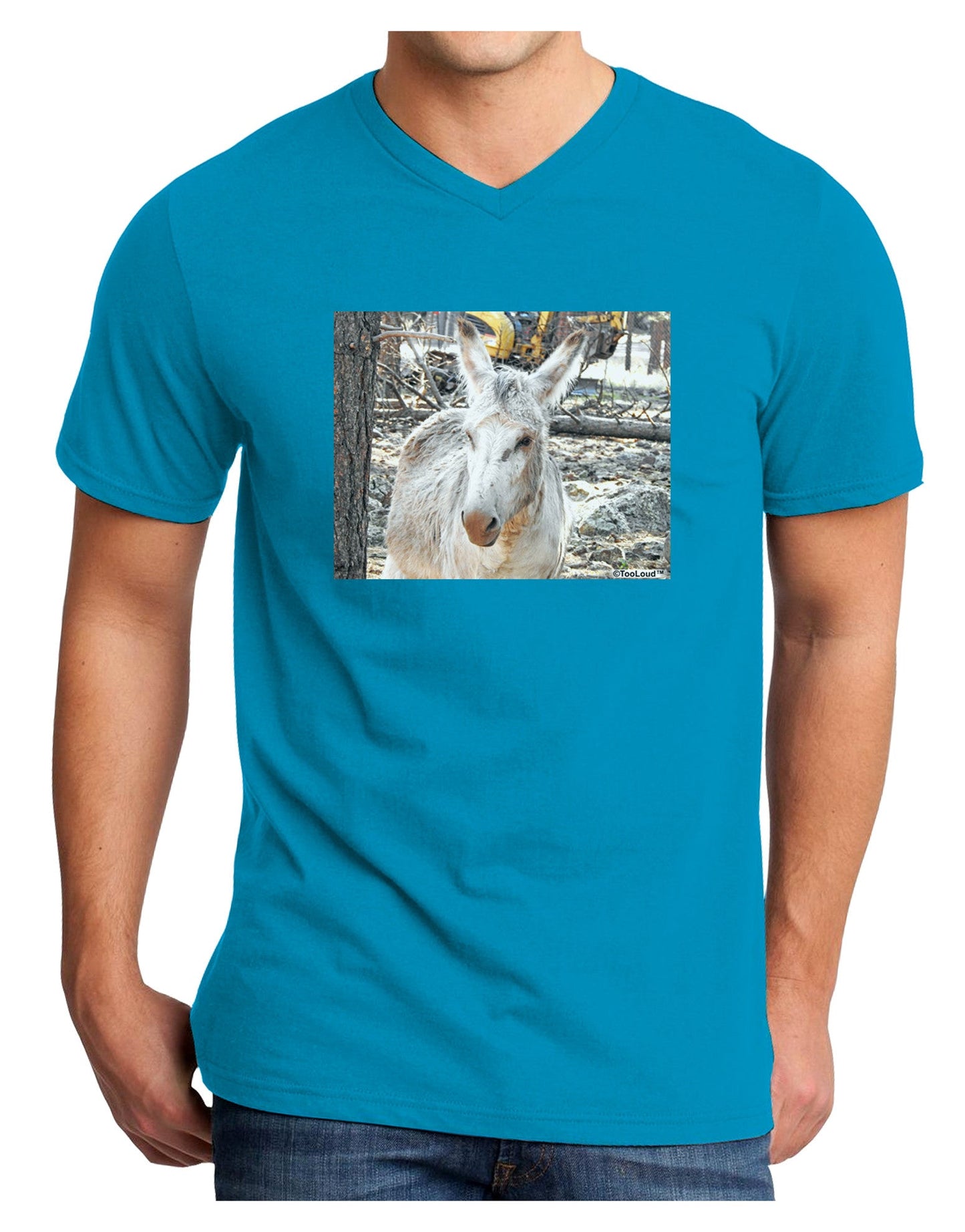 Troubled Burro Adult Dark V-Neck T-Shirt-Mens V-Neck T-Shirt-TooLoud-Turquoise-Small-Davson Sales