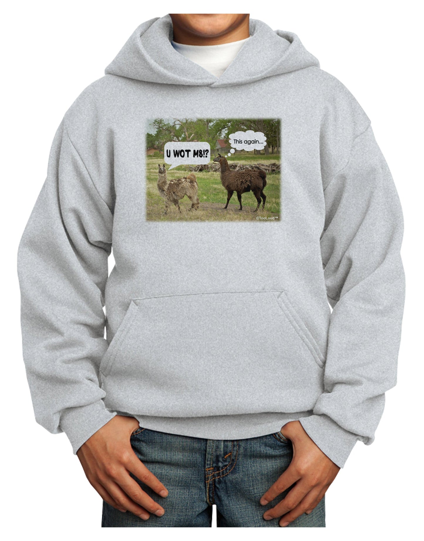 Angry Standing Llamas Youth Hoodie Pullover Sweatshirt by TooLoud-Youth Hoodie-TooLoud-Ash-XS-Davson Sales