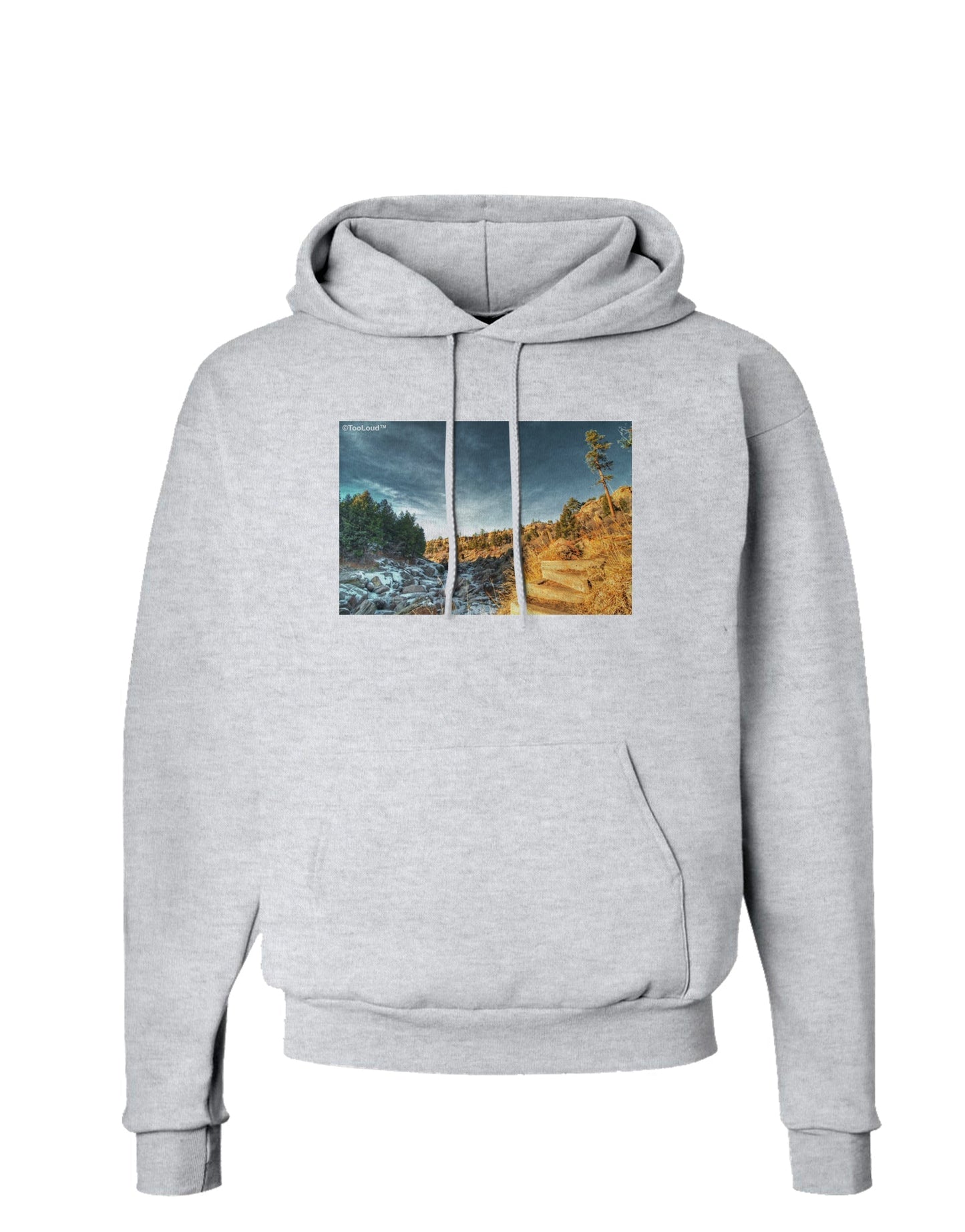 Castlewood Canyon Hoodie Sweatshirt-Hoodie-TooLoud-AshGray-Small-Davson Sales