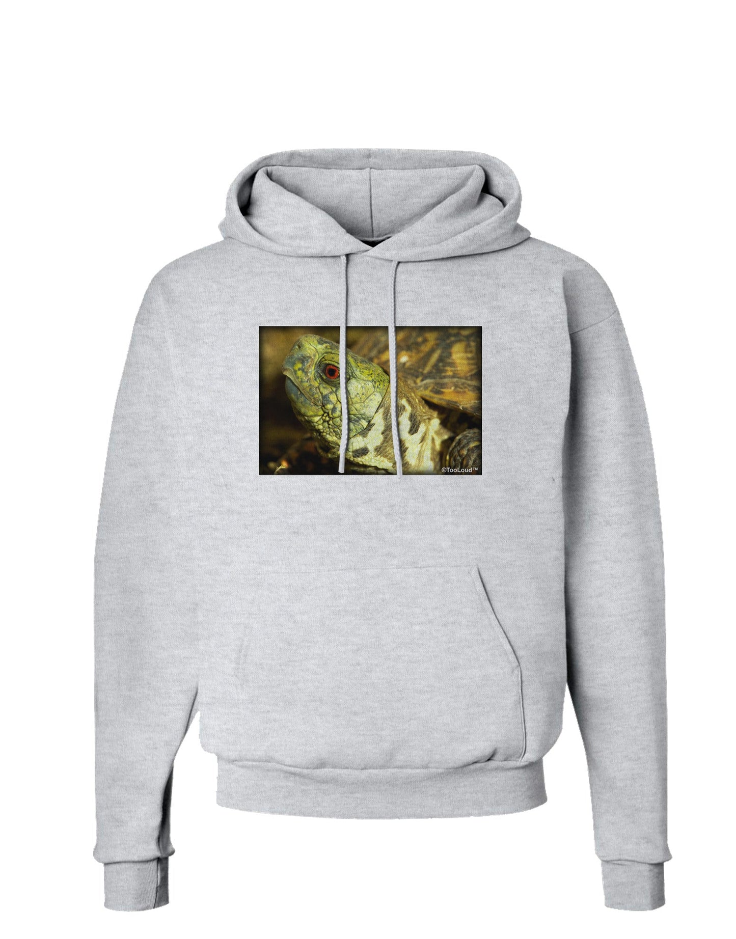 Menacing Turtle Hoodie Sweatshirt-Hoodie-TooLoud-AshGray-Small-Davson Sales
