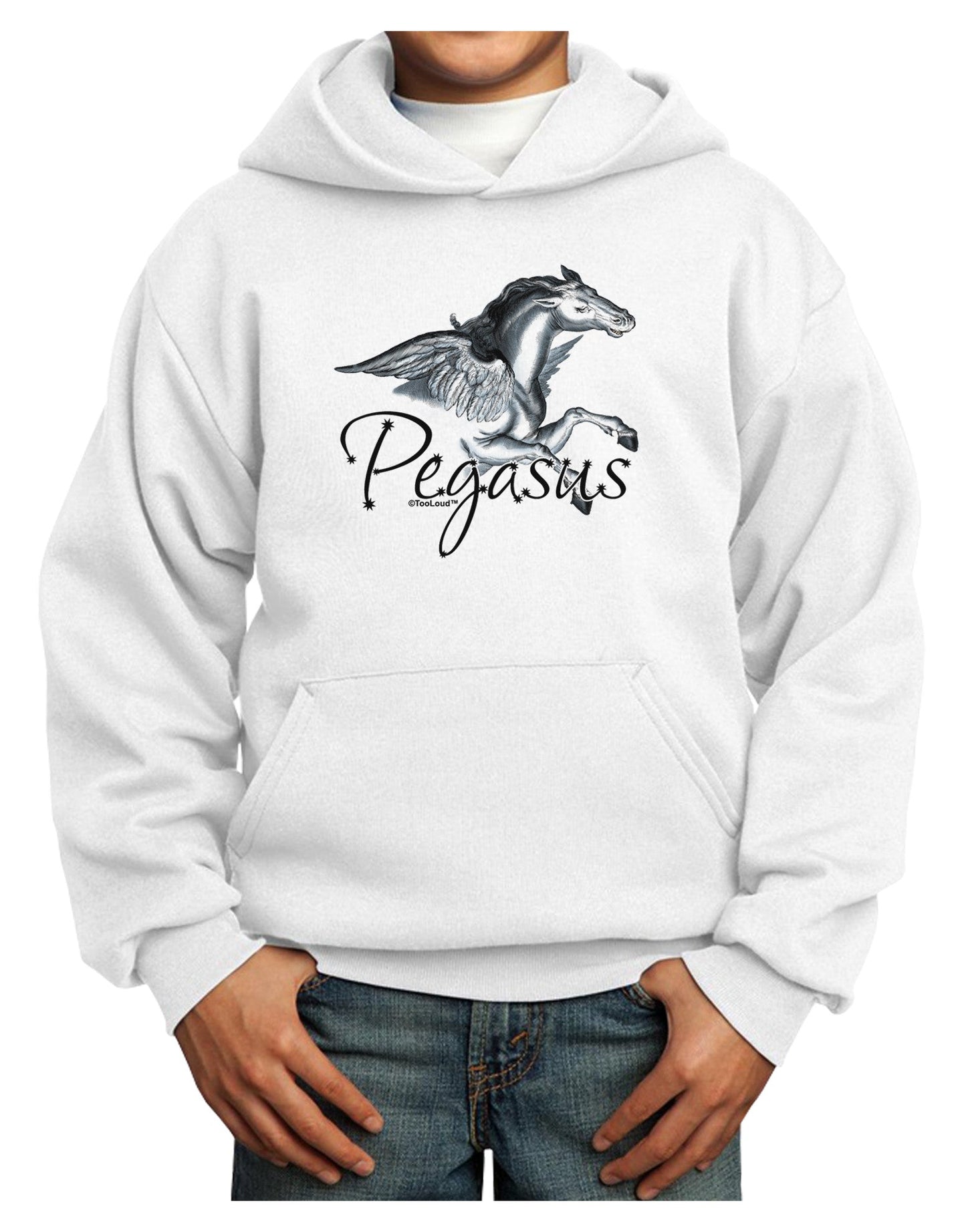 Pegasus Color Illustration Youth Hoodie Pullover Sweatshirt-Youth Hoodie-TooLoud-White-XS-Davson Sales