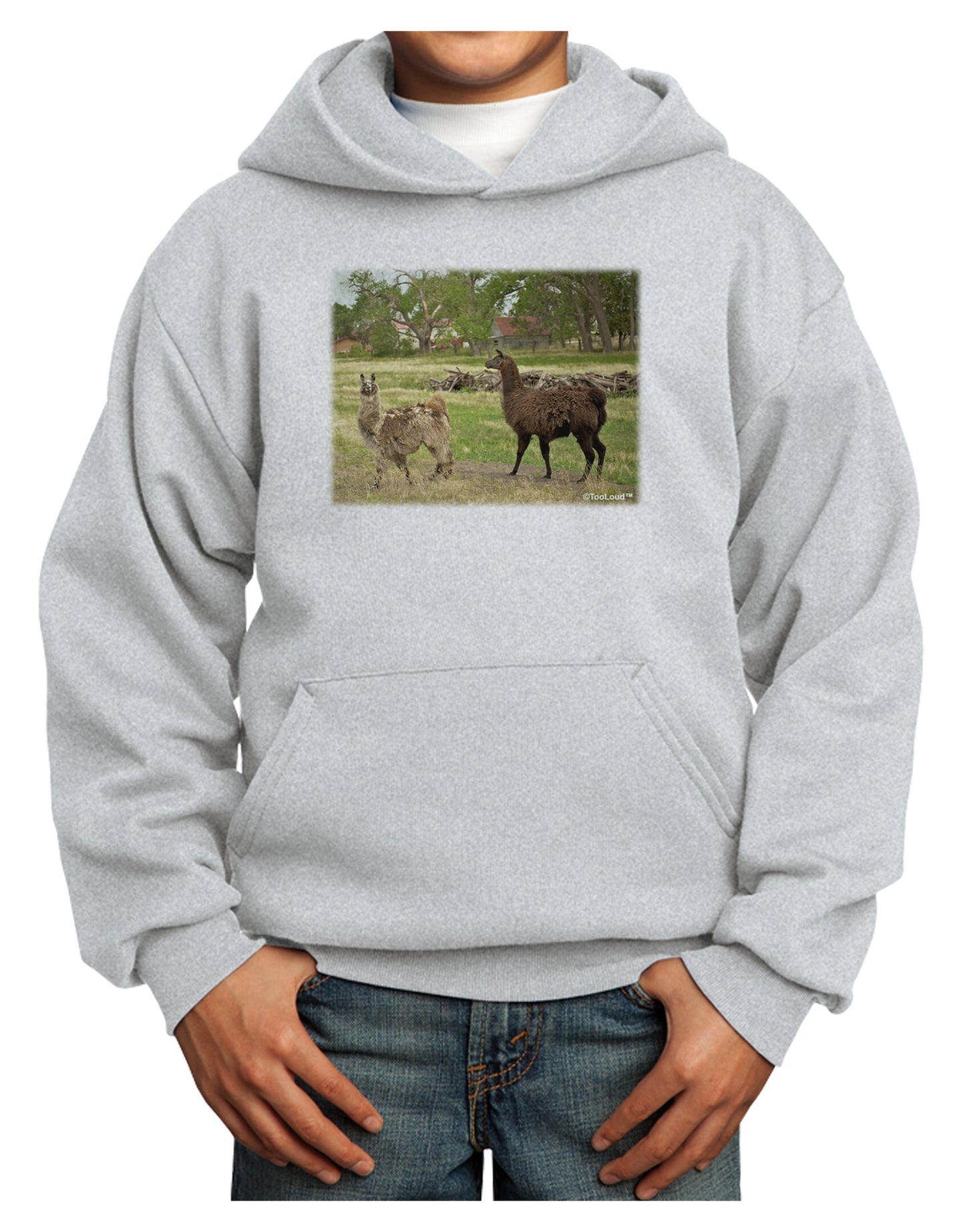 Standing Llamas Youth Hoodie Pullover Sweatshirt by TooLoud-Youth Hoodie-TooLoud-Ash-XS-Davson Sales