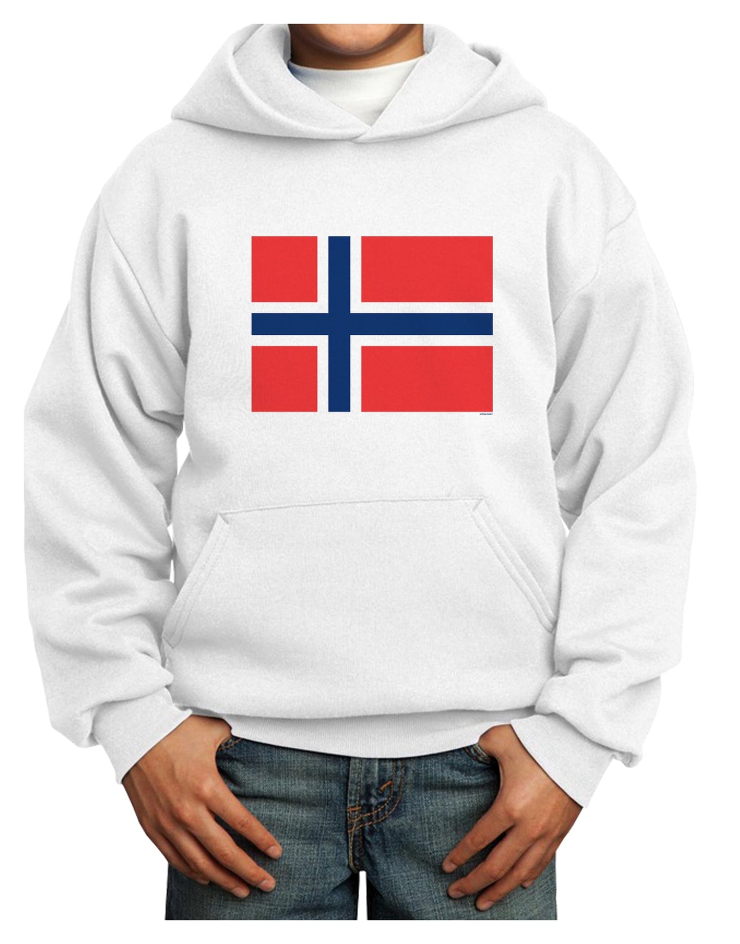 TooLoud Norwegian Flag Youth Hoodie Pullover Sweatshirt-Youth Hoodie-TooLoud-White-XS-Davson Sales