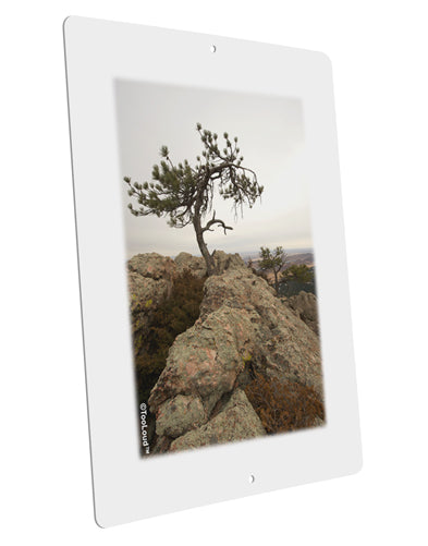 Stone Tree Colorado Large Aluminum Sign 12 x 18" - Portrait by TooLoud-TooLoud-12x18"-Davson Sales
