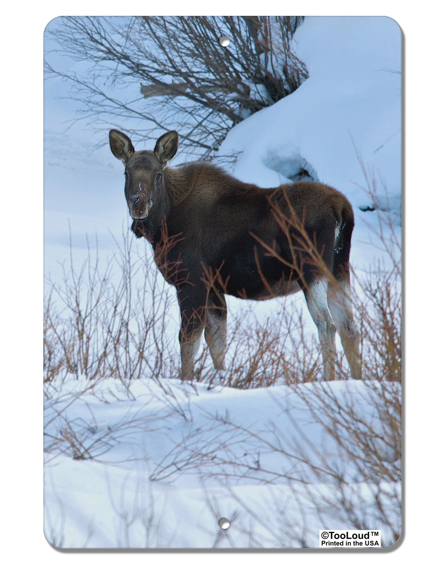 TooLoud Winter Scene All-Over-Print Aluminum 8 x 12" Aluminum Sign All Over Print-Aluminum Sign-TooLoud-White-Davson Sales