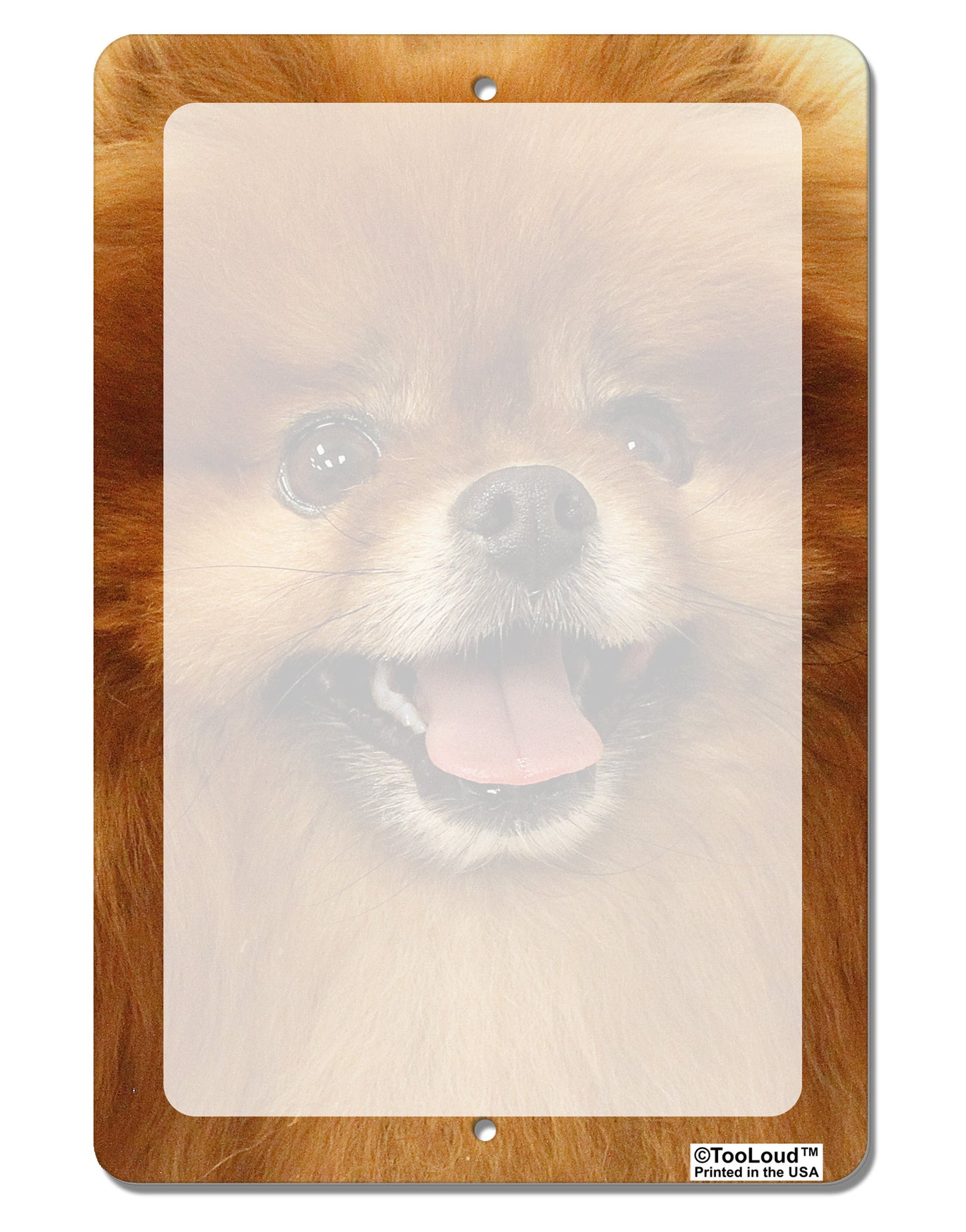 Adorable Pomeranian 2 Aluminum 8 x 12" Dry Erase Board Sign All Over Print-Dry Erase Board-TooLoud-White-Davson Sales