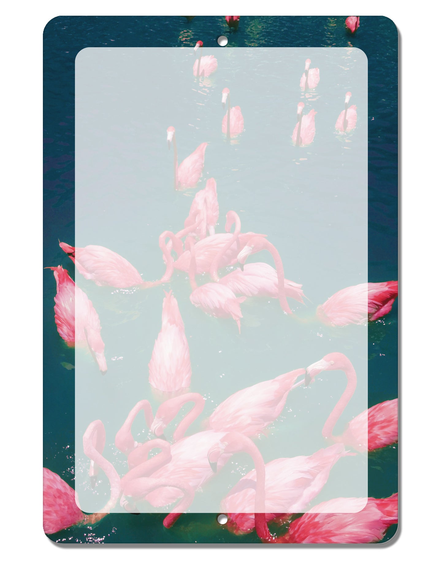 Bright Pink Painted Flamingos Aluminum 8 x 12" Dry Erase Board Sign All Over Print-Dry Erase Board-TooLoud-White-Davson Sales