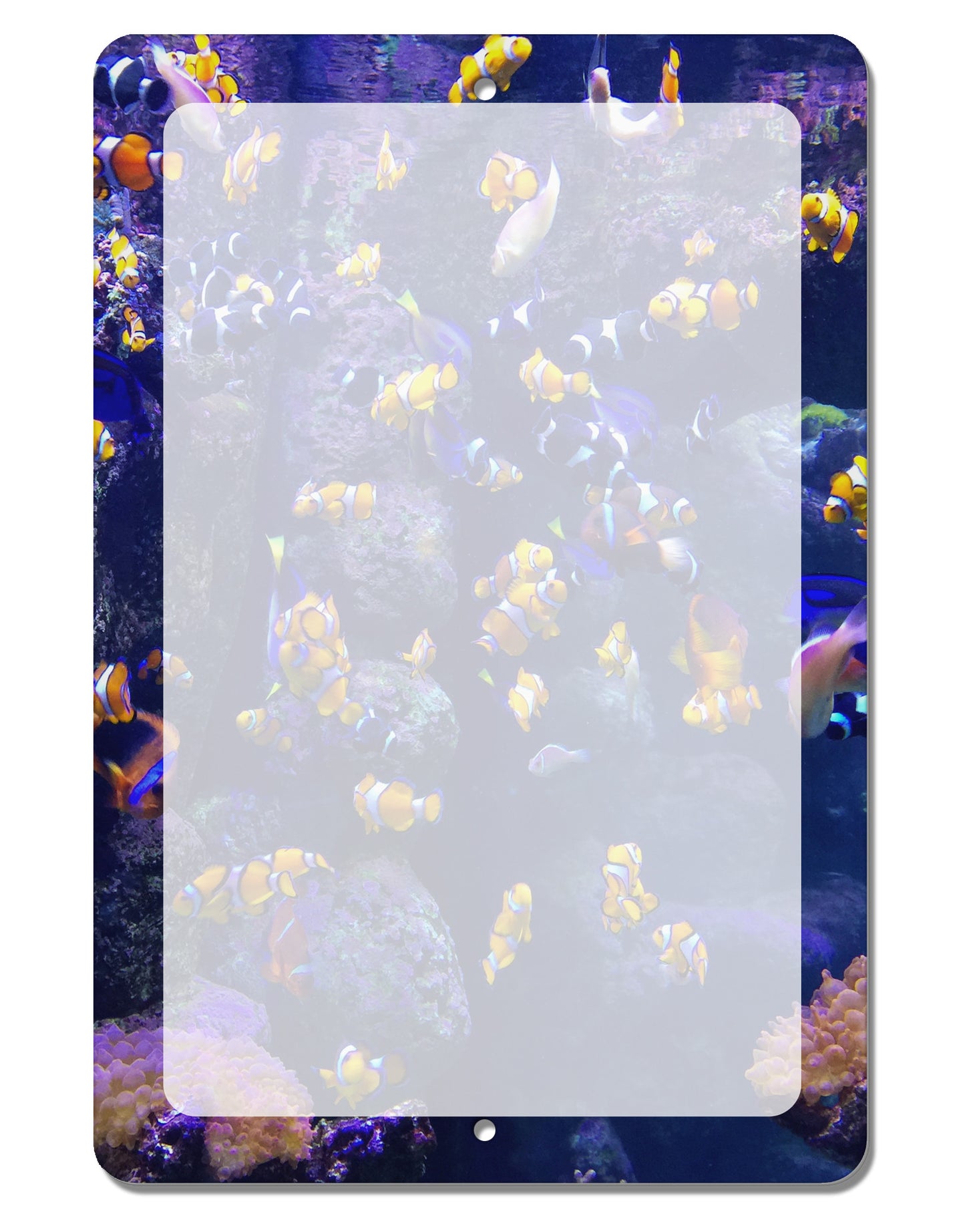Underwater Ocean View Clownfish Aluminum 8 x 12" Dry Erase Board Sign All Over Print-Dry Erase Board-TooLoud-White-Davson Sales