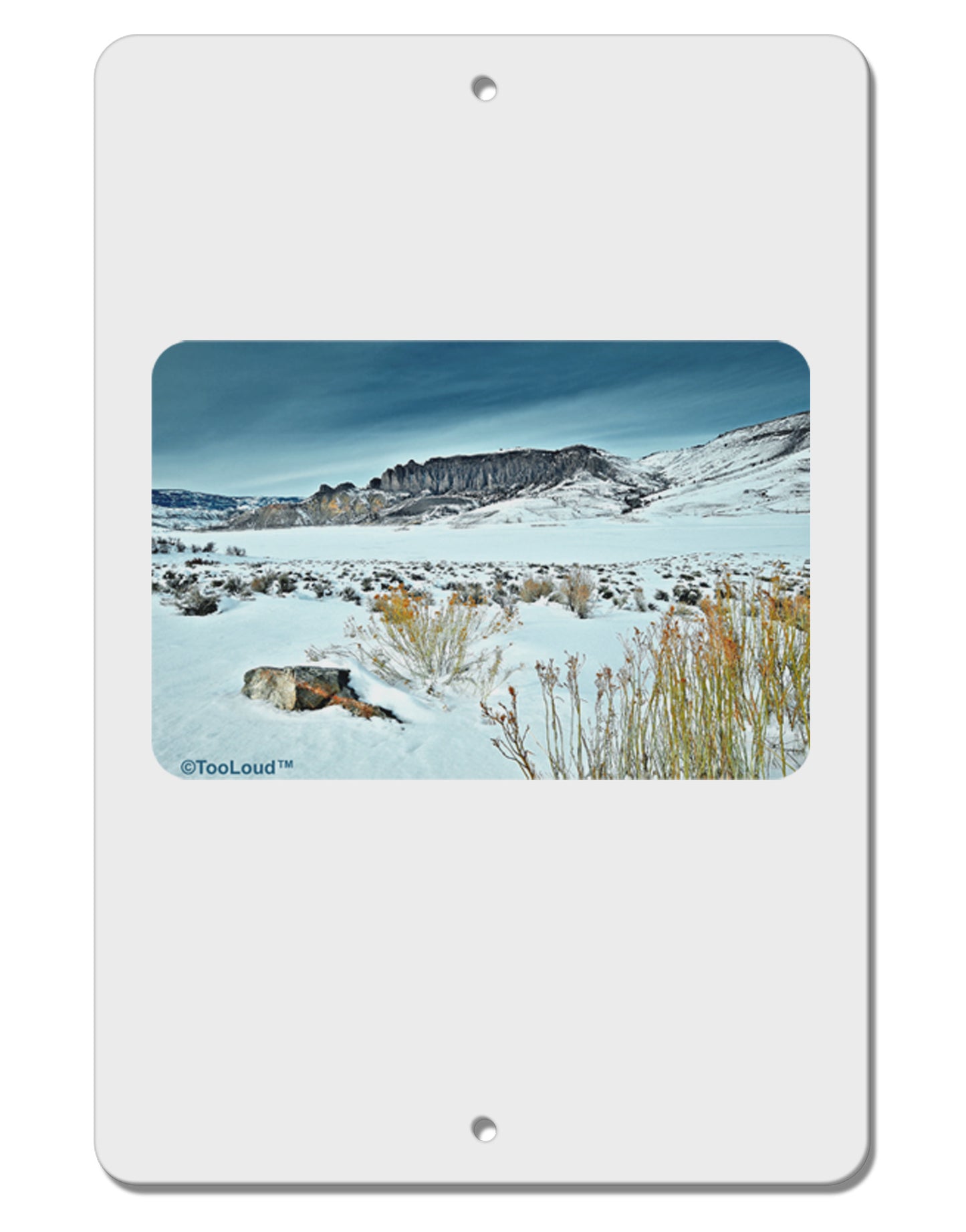 CO Snow Scene Aluminum 8 x 12" Sign-TooLoud-White-Davson Sales