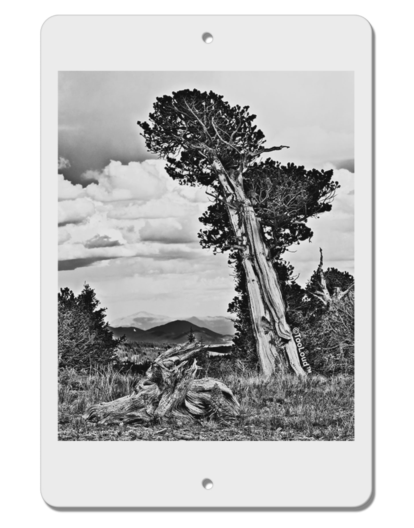 Colorado Landscape Monochrome Aluminum 8 x 12" Sign-TooLoud-White-Davson Sales