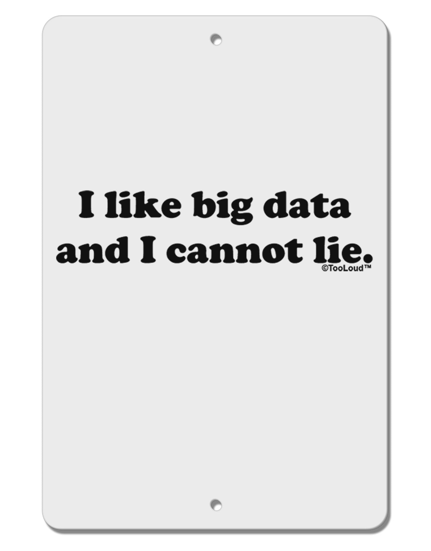 I Like Big Data Aluminum 8 x 12" Sign by TooLoud-TooLoud-White-Davson Sales