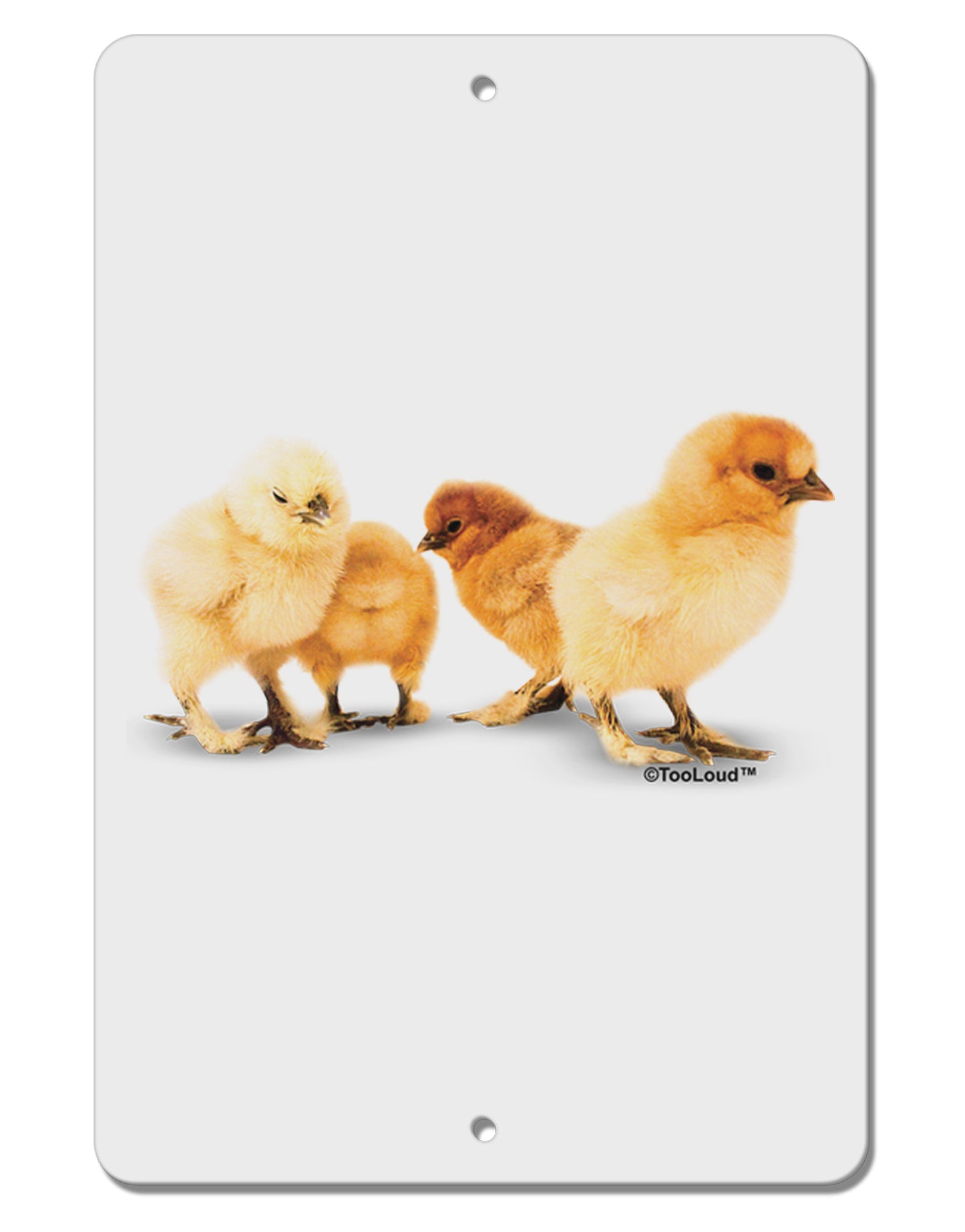 Cute Chicks Aluminum 8 x 12" Sign-TooLoud-White-Davson Sales