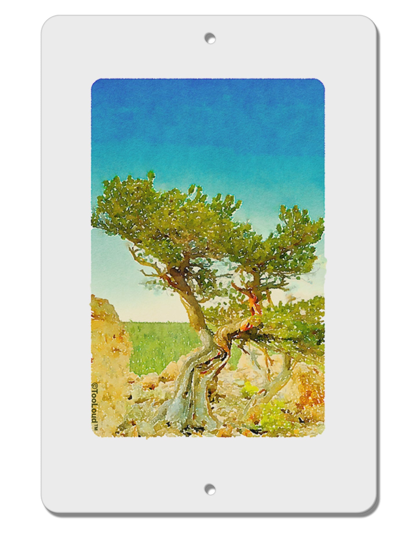 Colorado Tree Watercolor Aluminum 8 x 12" Sign-TooLoud-White-Davson Sales