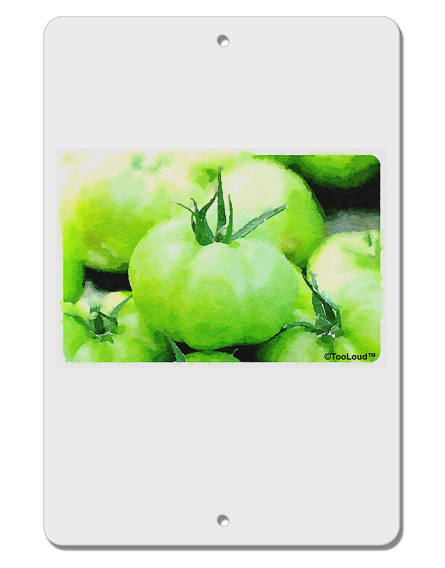 Watercolor Green Tomatoes Aluminum 8 x 12" Sign-TooLoud-White-Davson Sales