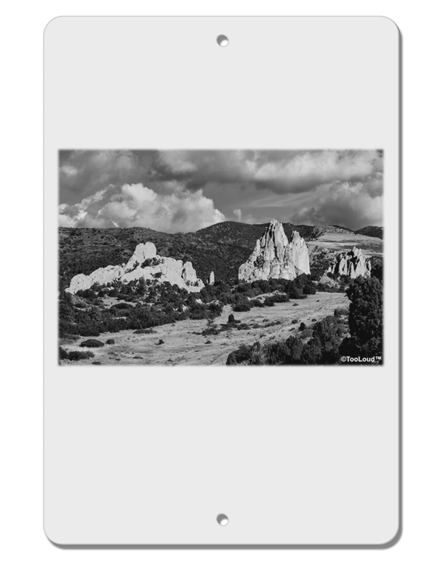 CO Mountain Forest Scene Aluminum 8 x 12" Sign by TooLoud-TooLoud-White-Davson Sales