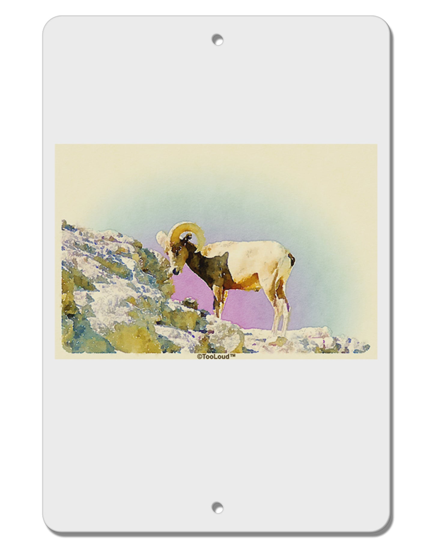 Bighorn Ram Watercolor Aluminum 8 x 12" Sign-TooLoud-White-Davson Sales