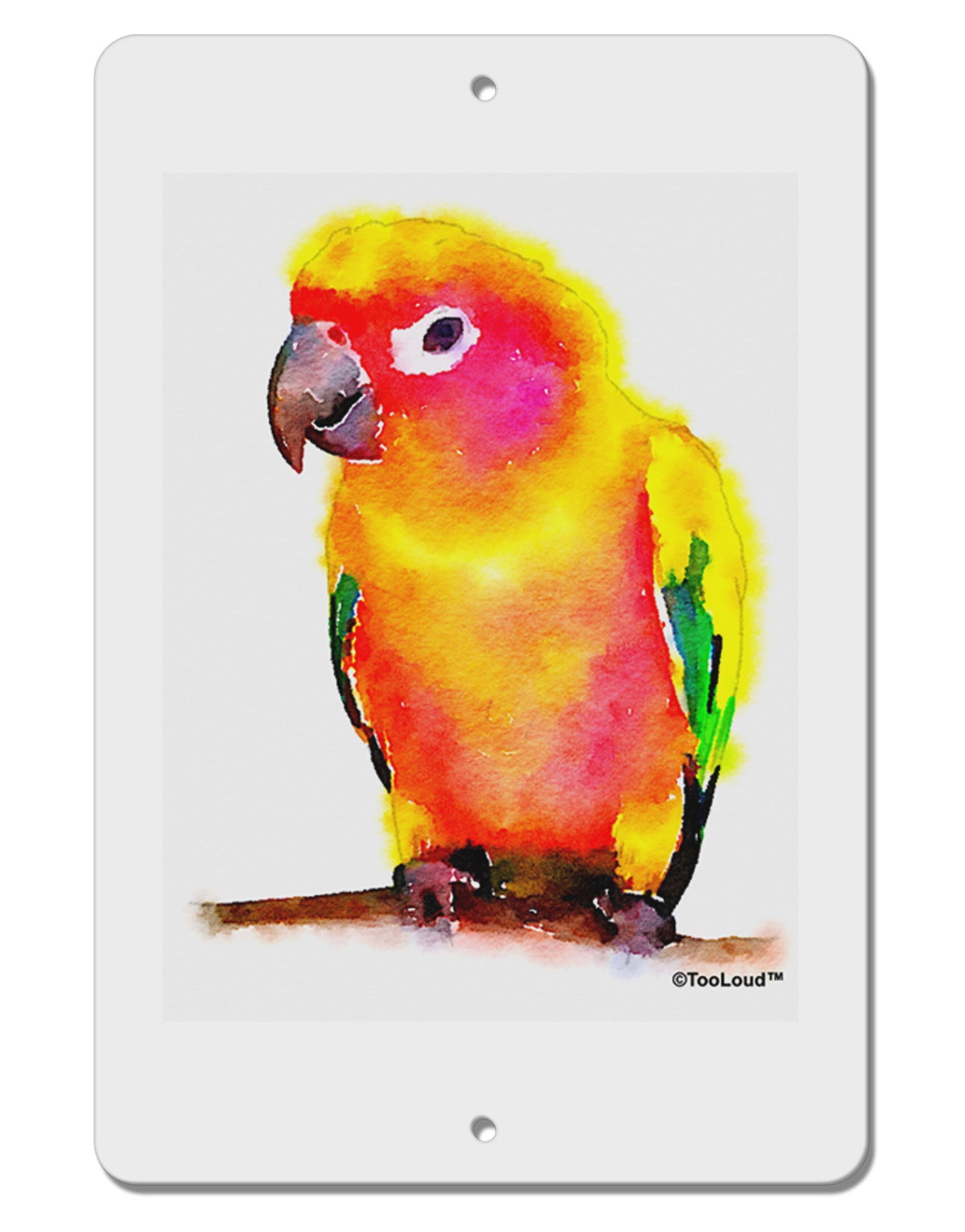 Sun Conure Parrot Watercolor Aluminum 8 x 12" Sign-TooLoud-White-Davson Sales