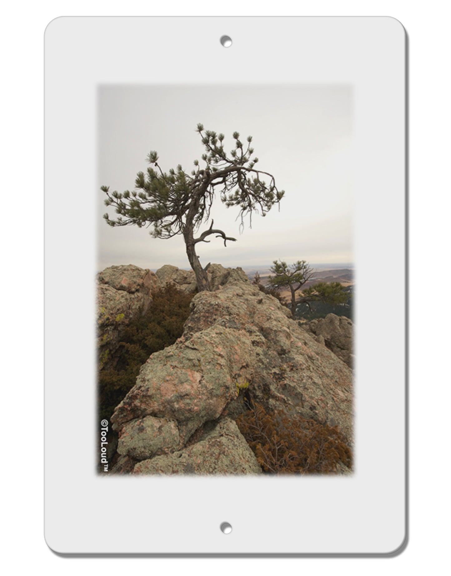 Stone Tree Colorado Aluminum 8 x 12" Sign by TooLoud-TooLoud-White-Davson Sales